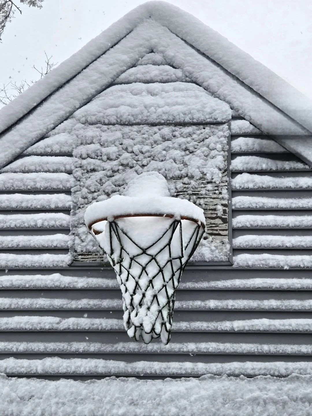 Hoop scoop

ID: basketball hoop filler with snow, and ice along the siding.