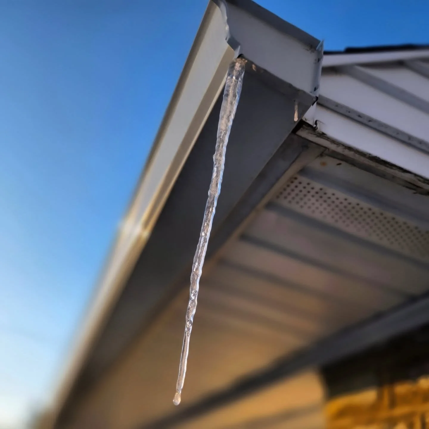 Thawing, slowly. ✊🏼

ID: 1: photo of an icicle on a roof, dripping slowly.
2: screenshot of ICE watch rapid response teams in Philly and collar counties. For the complete PA county by county list, legal aid and other resources, visit paimmigant.org