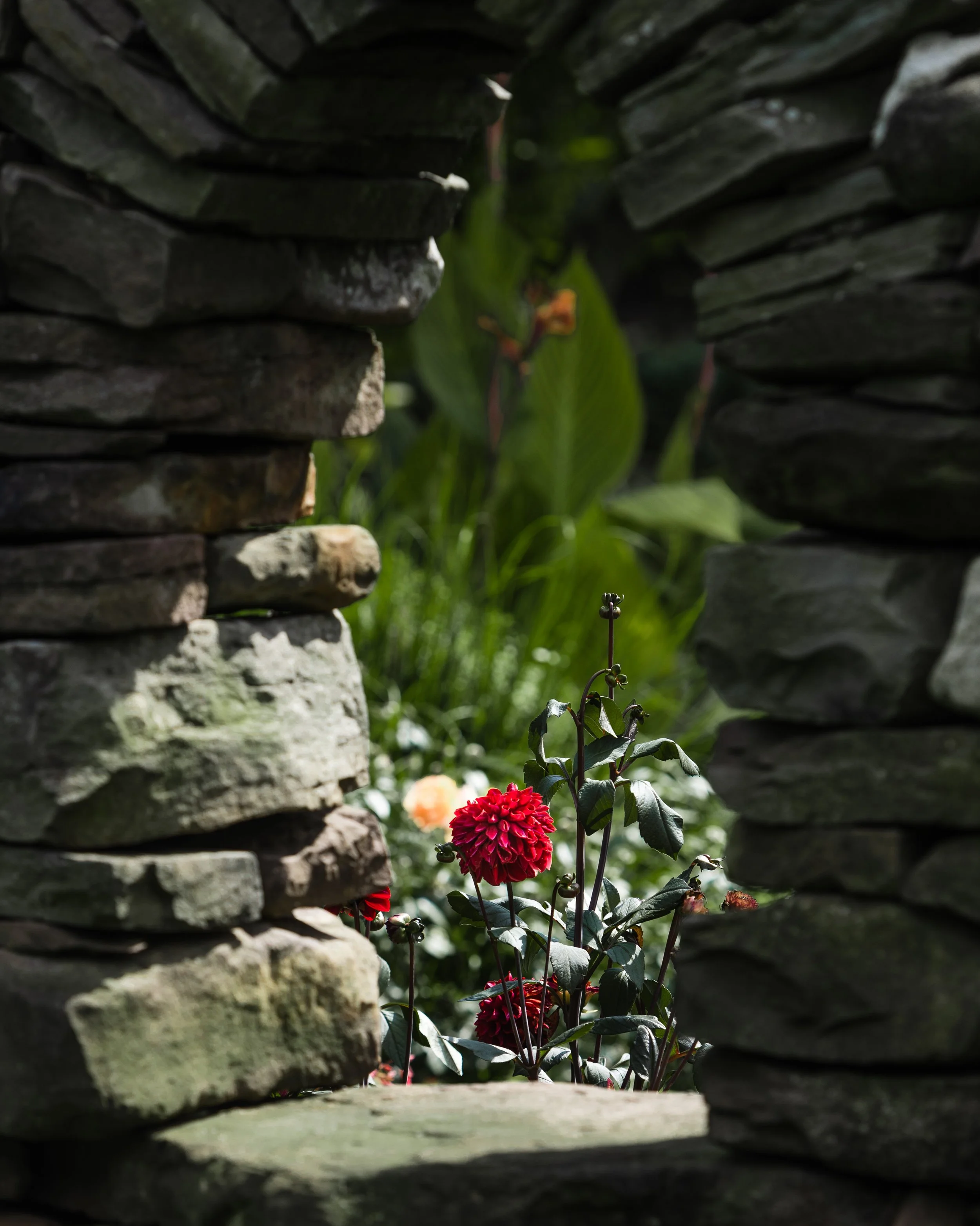 Window Flower.jpg