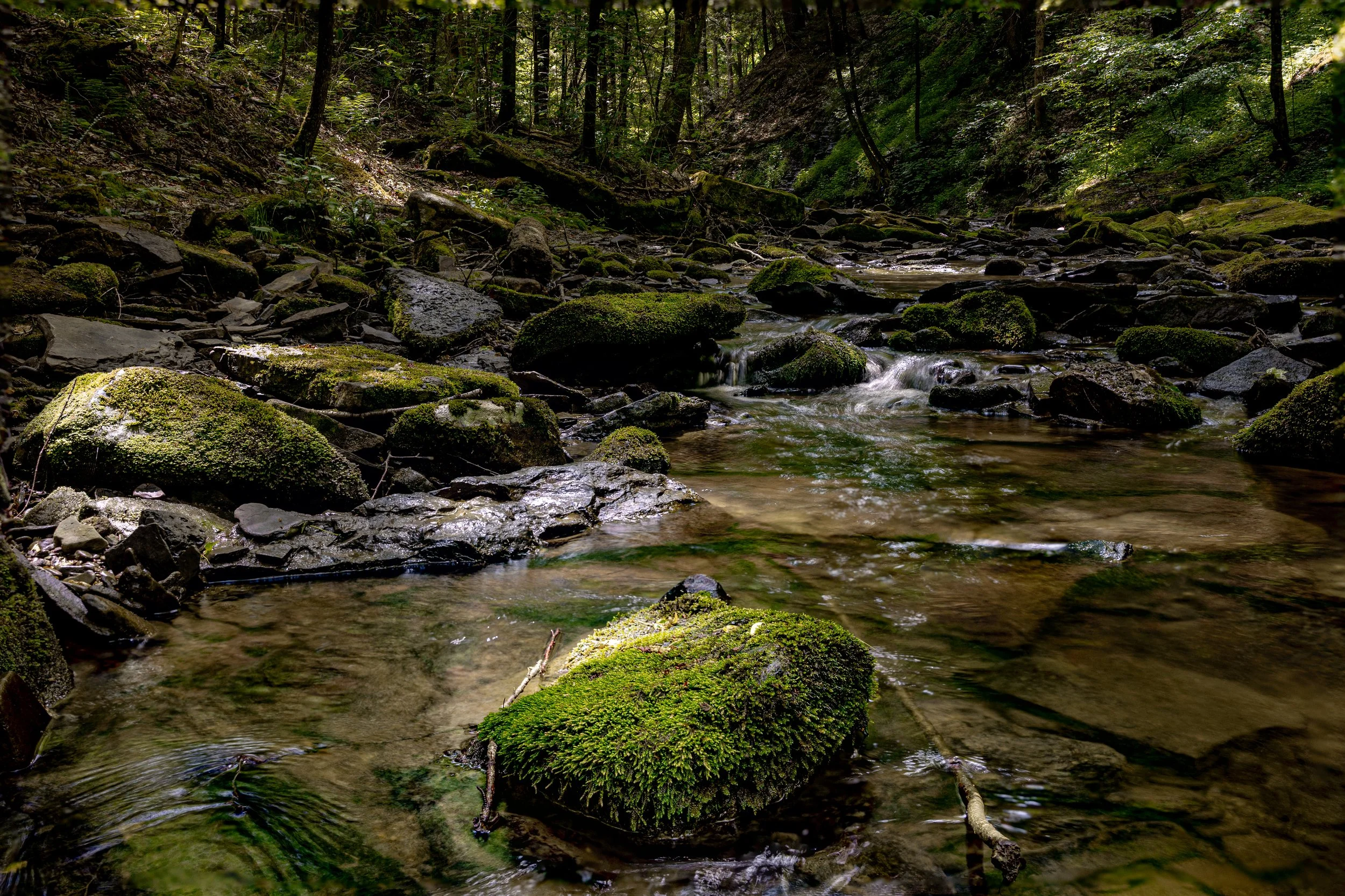 Allegheny-2.jpg