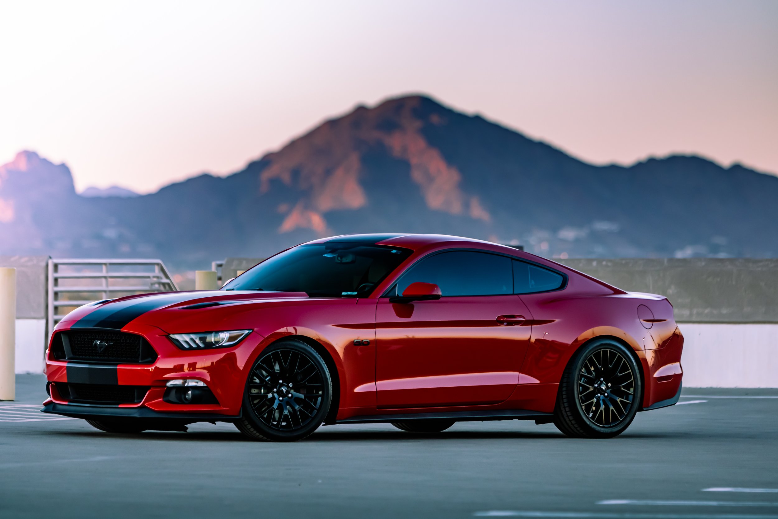 Mustang2.jpg