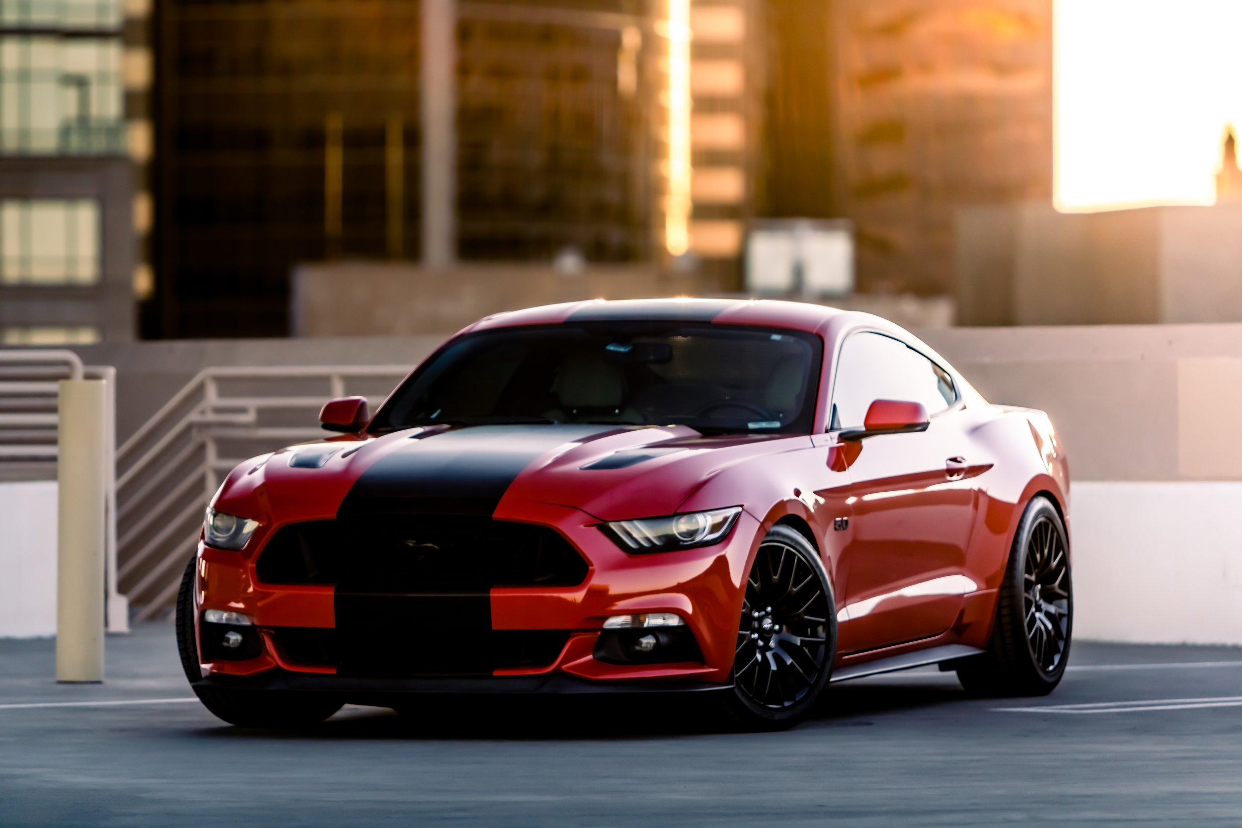 Mustang0.jpg