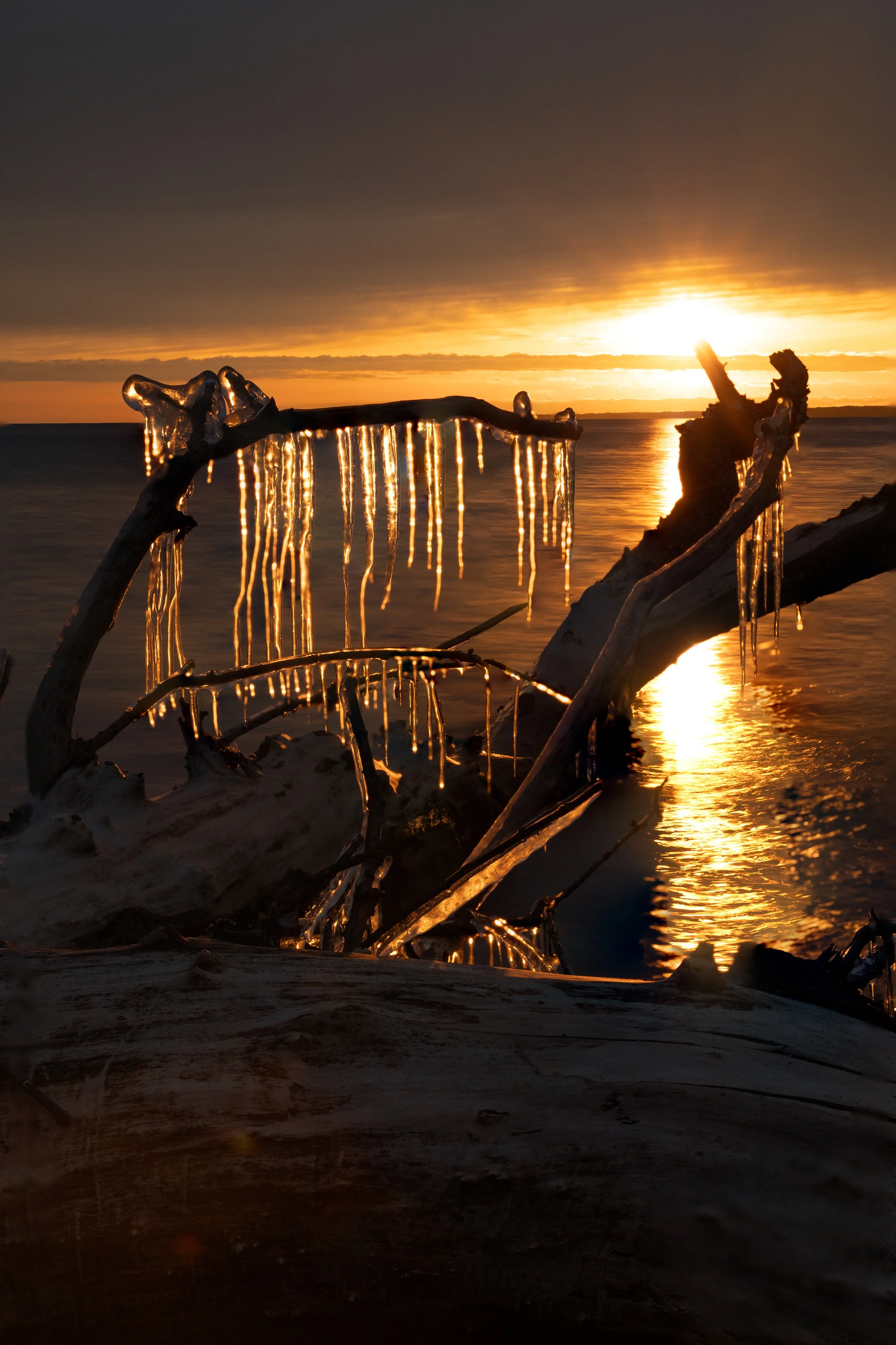 Beach Ice