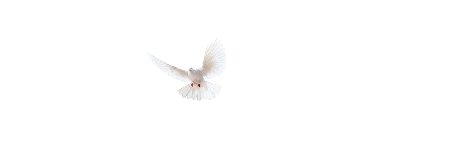 Sacramento Christian Healing Ministry