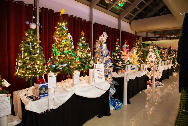 Festival of Trees