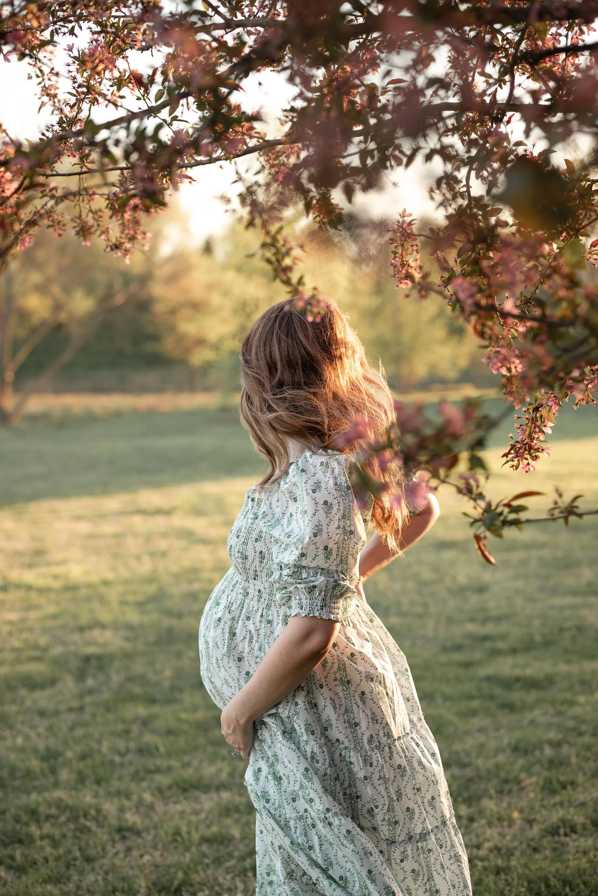 Cook_Maternity-62.jpg