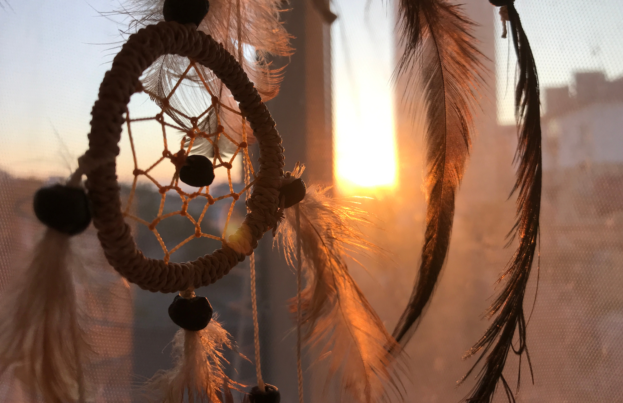 sacred roots retreat (12).png