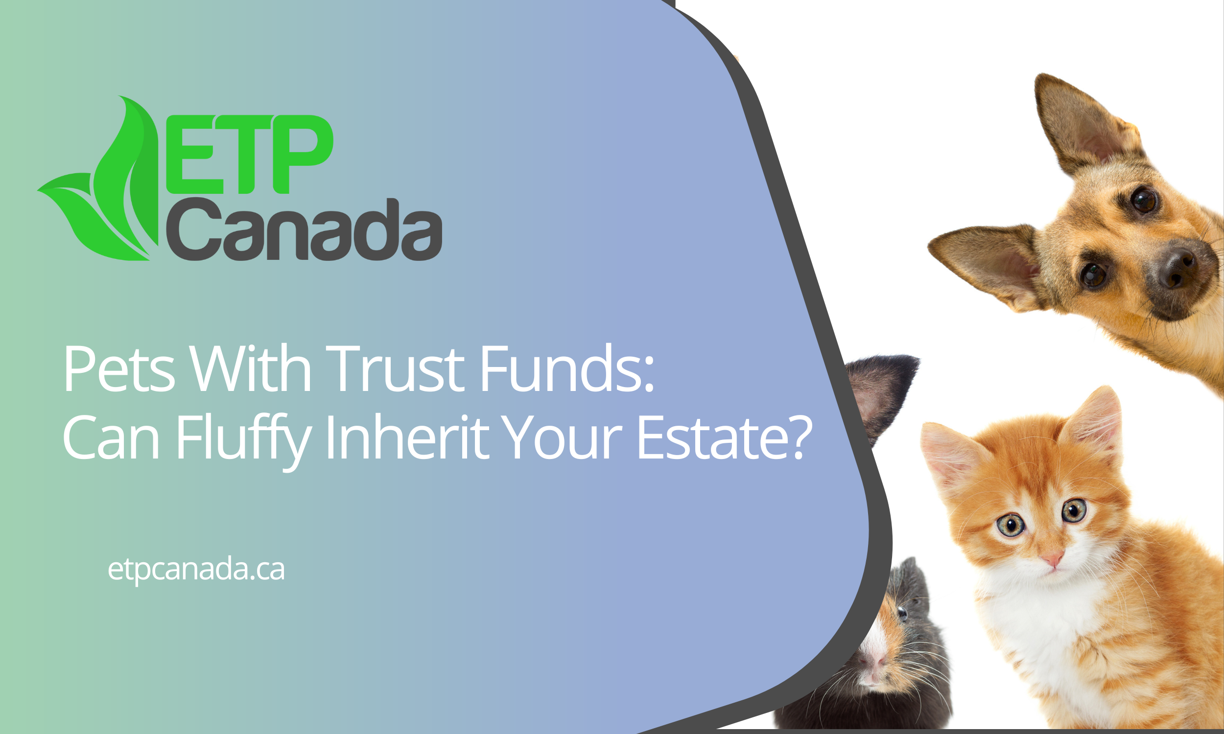      

 
   When most people think about writing a Will, they think about their home, their money… maybe a cottage. But increasingly, people are thinking about something fuzzier:  their pets ! From millionaire mutts to cats with condos, pet inheritan
