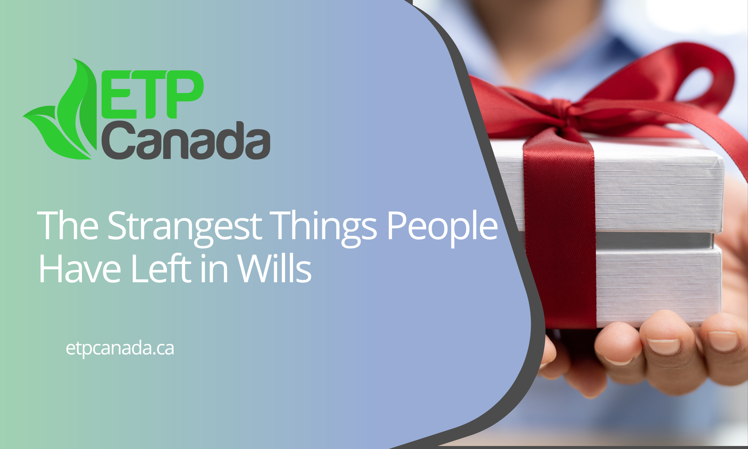      

 
   Wills are meant to be practical… but every now and then, they’re  downright bizarre . From haunted violins to entire countries (yes, really), people have left behind some truly unexpected gifts.&nbsp;  Here are a few of the strangest item