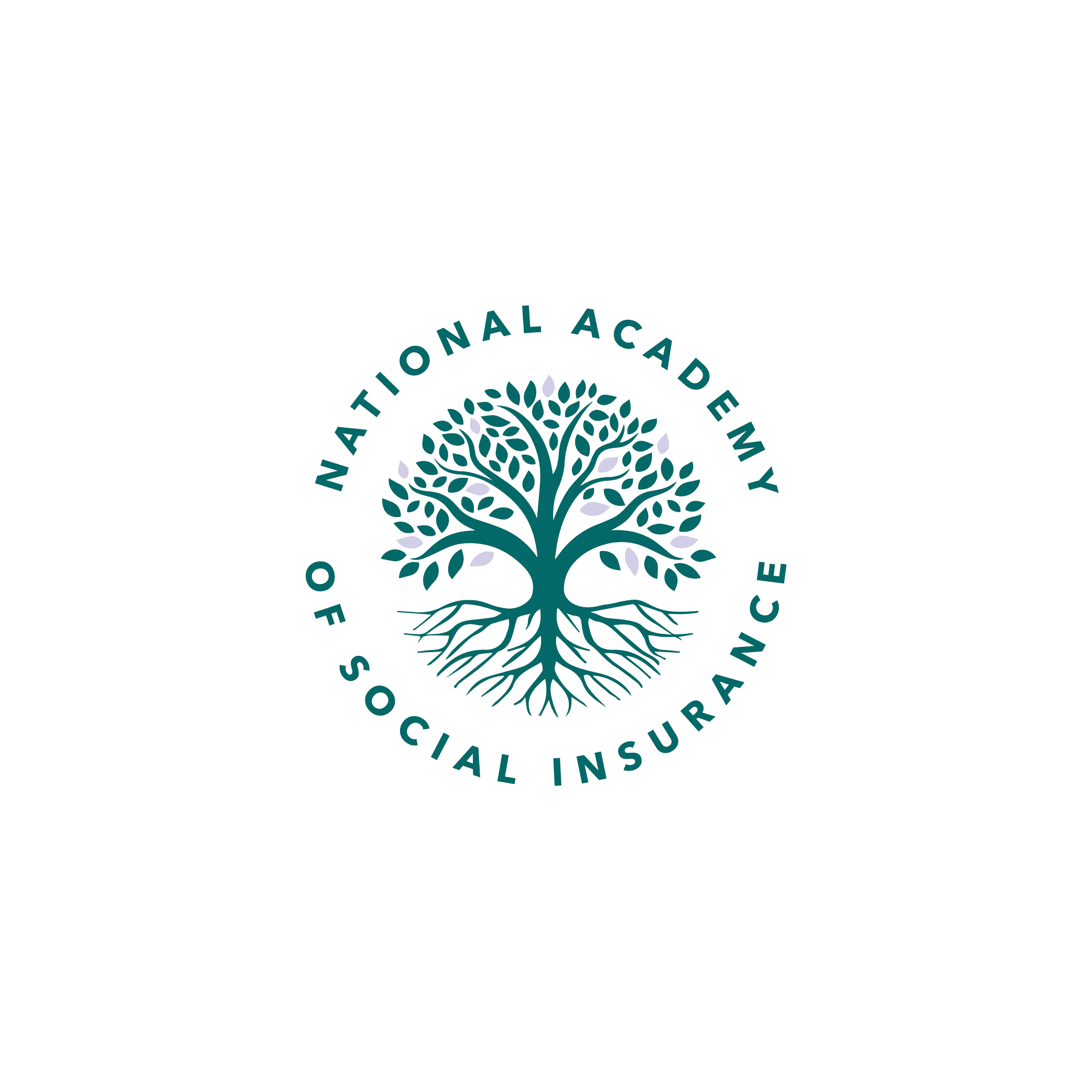 National Academy of Social Insurance Logo