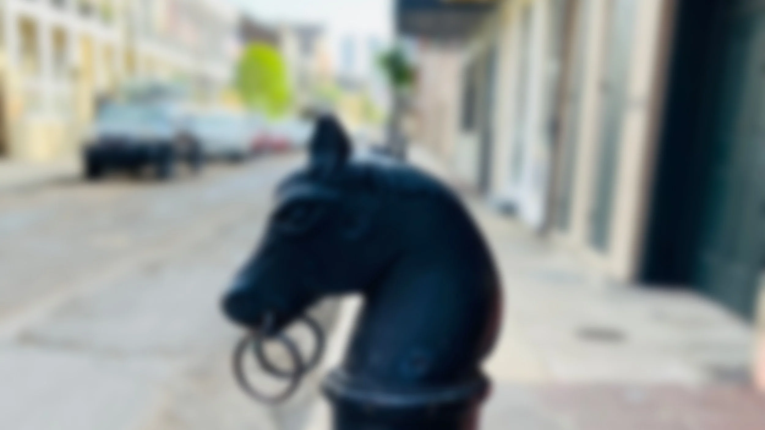 CV — Kristin Samuelson, PhD