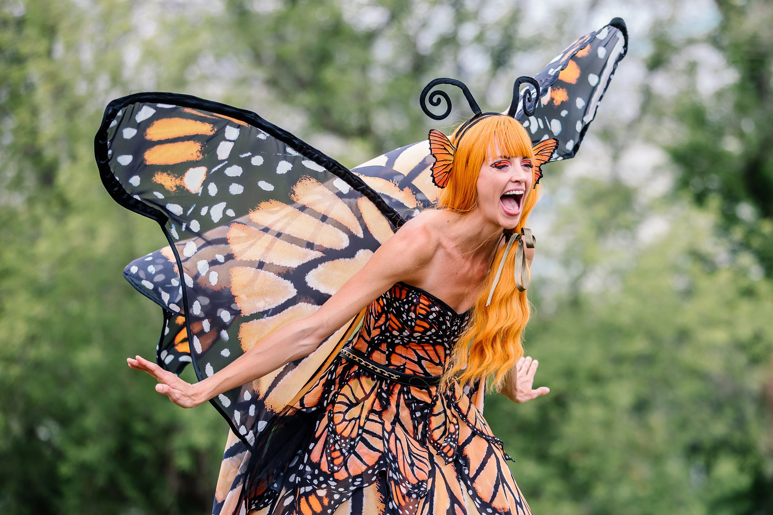 The Butterfly Garden