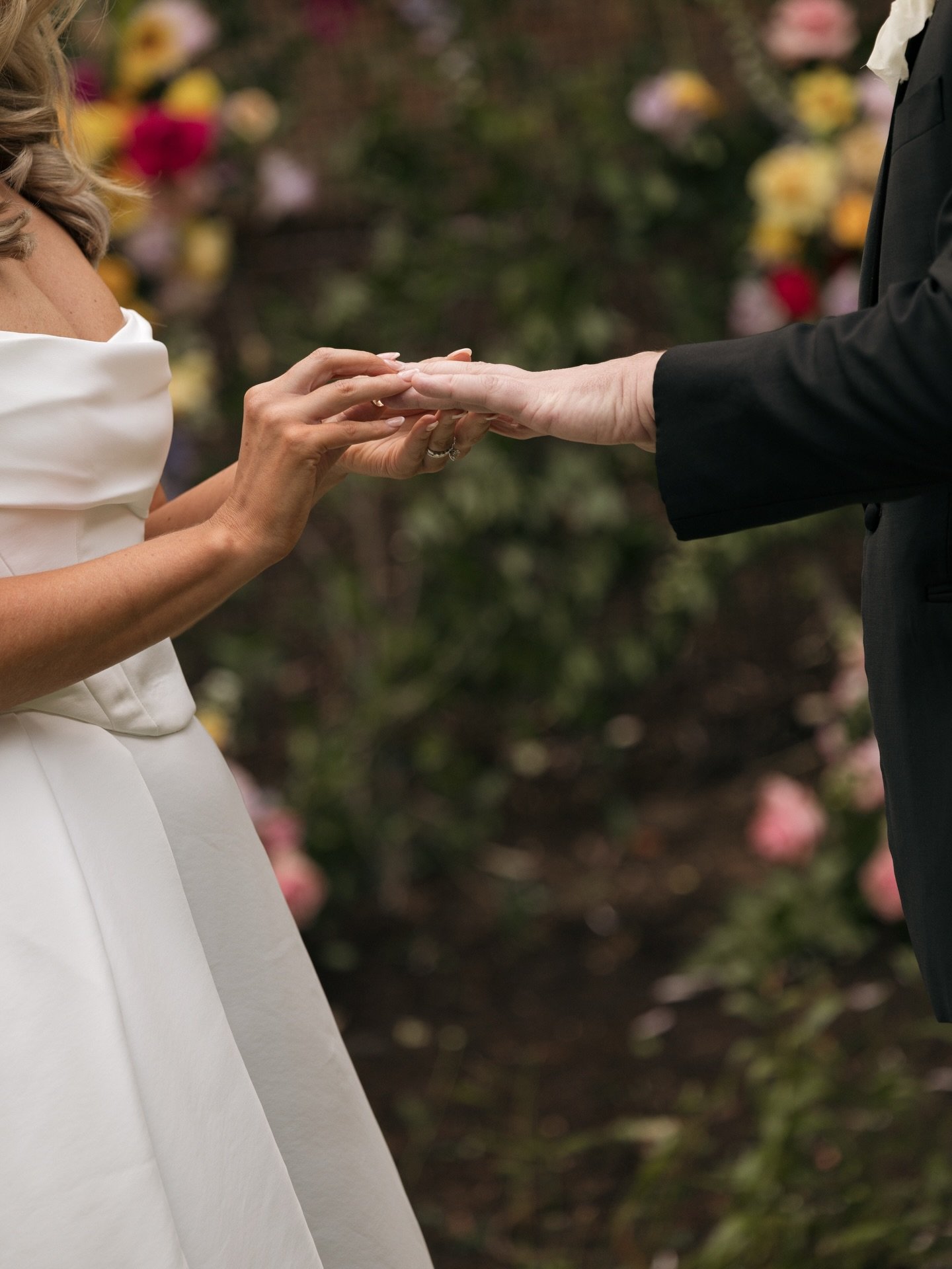 Working on these beauties today. ✨

@hotelmagdalena