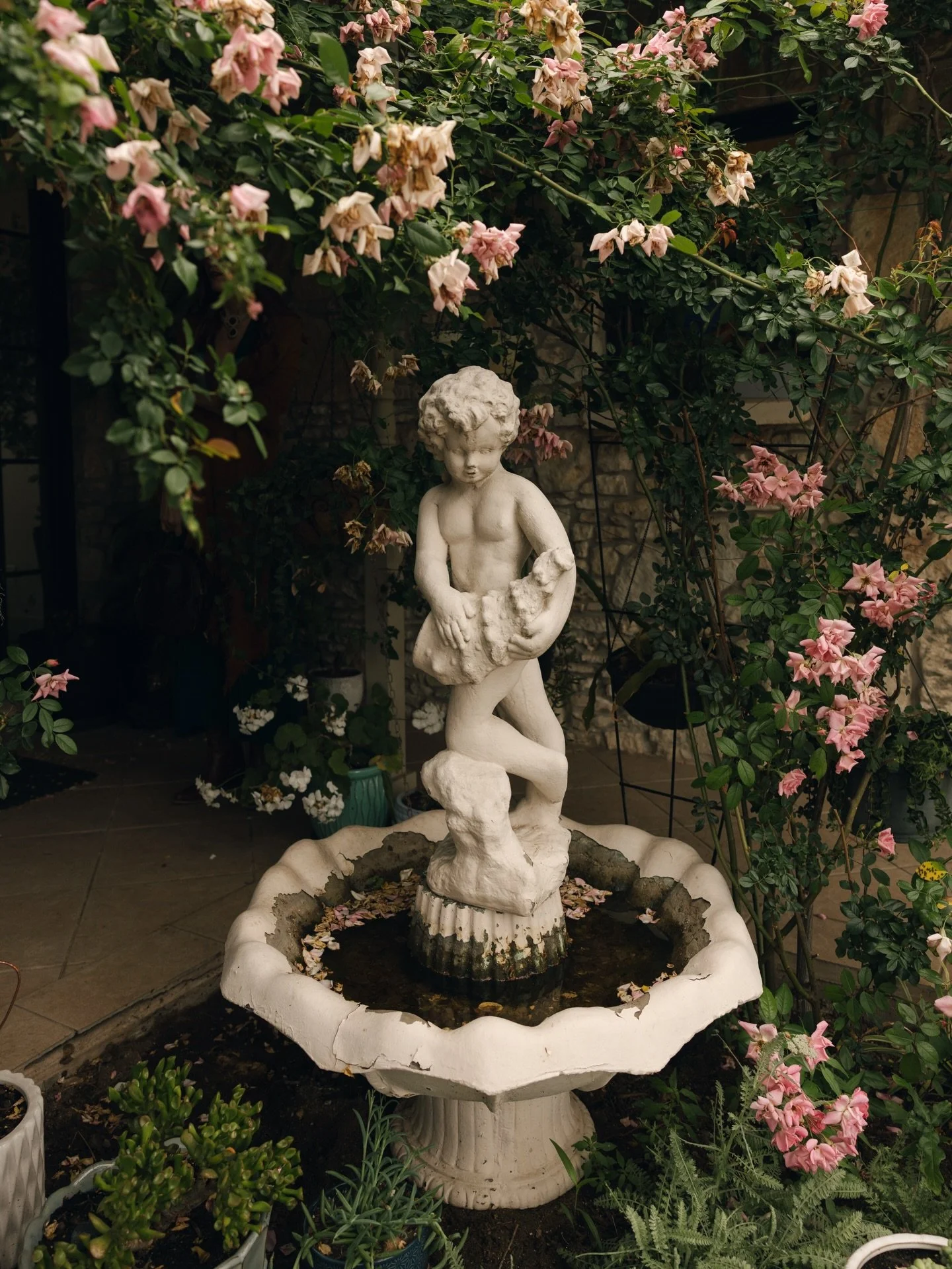 Haven&rsquo;t posted in a while - I&rsquo;m in the midst of spring wedding season &amp; if you know, you KNOW! However, I finally found some time to share some of the galleries I&rsquo;ve been working on &amp; the couples I&rsquo;ve had the pleasure 