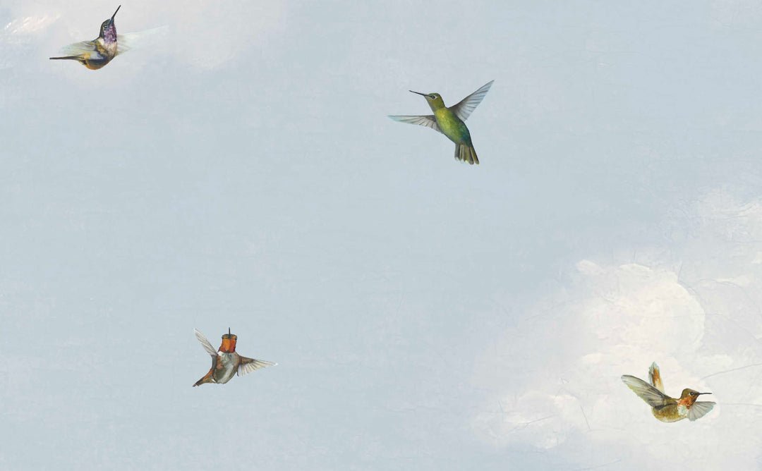 HummingbirdPeelandStickWallpaper_1080x5.jpeg