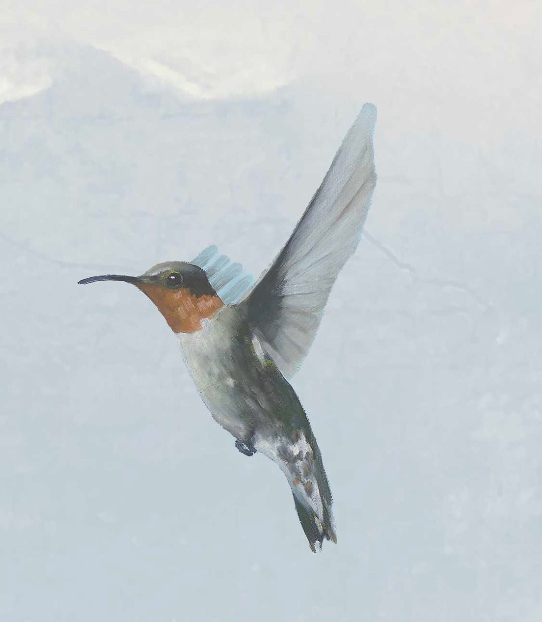 HummingbirdandCloudsRemovableWallpaper_1080xclose.jpeg