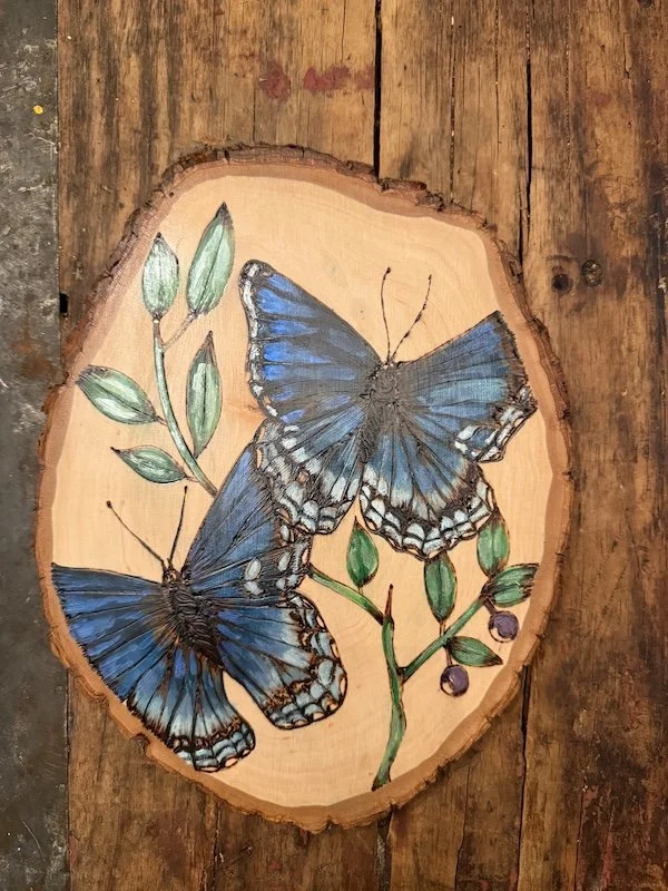 2 Leminitis Arthemis Butterflies.jpg