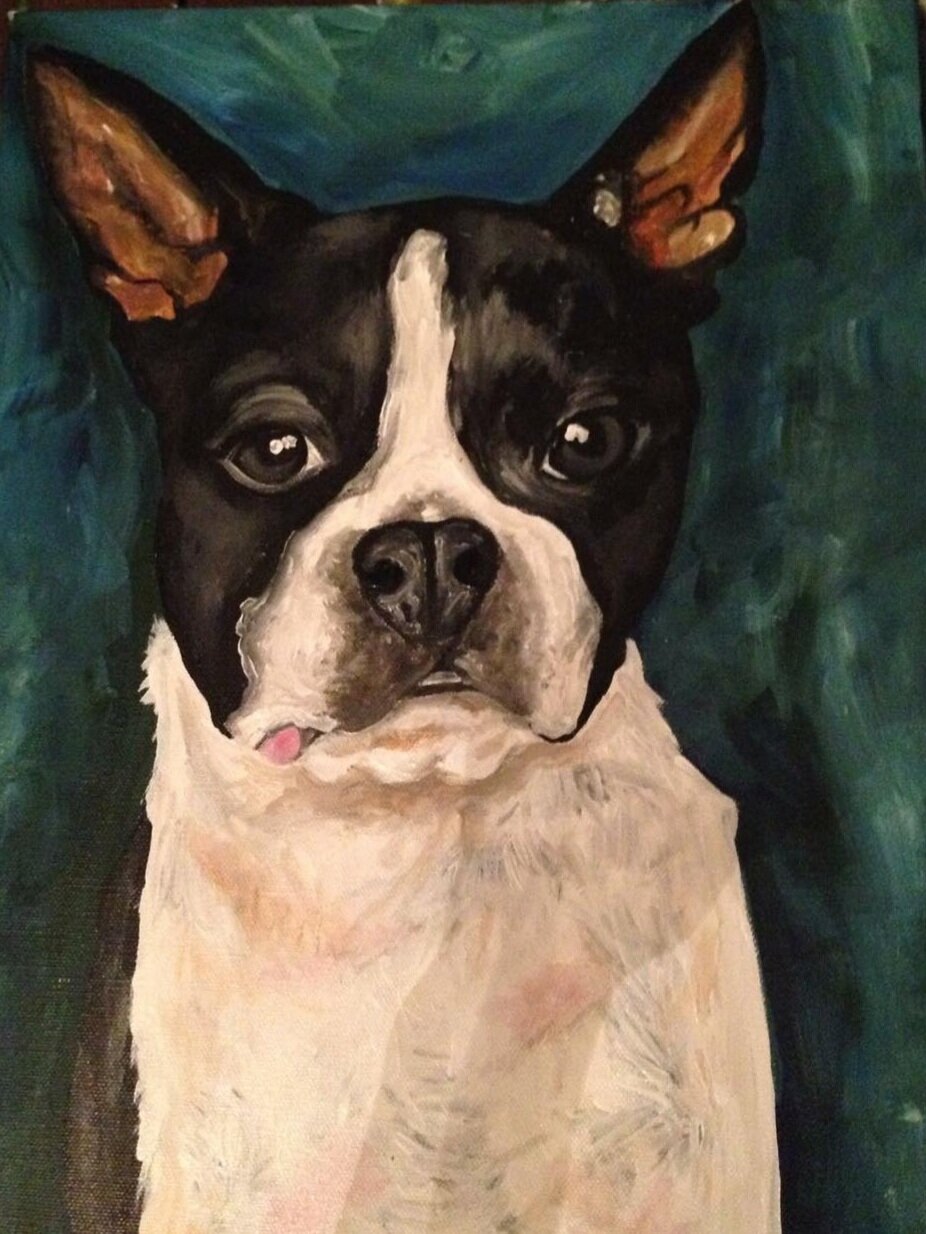 Boston Terrier-16x20-Acrylic