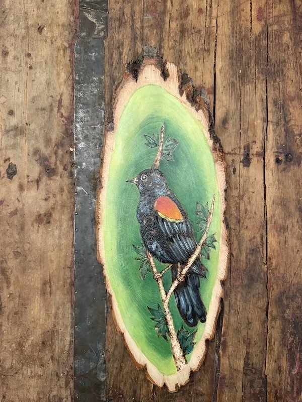 Red Winged Blackbird.jpg