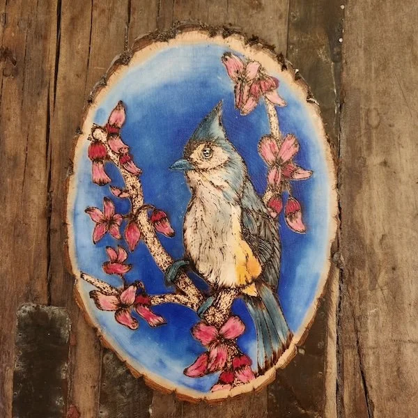 Tufted Titmouse copy 2.jpg