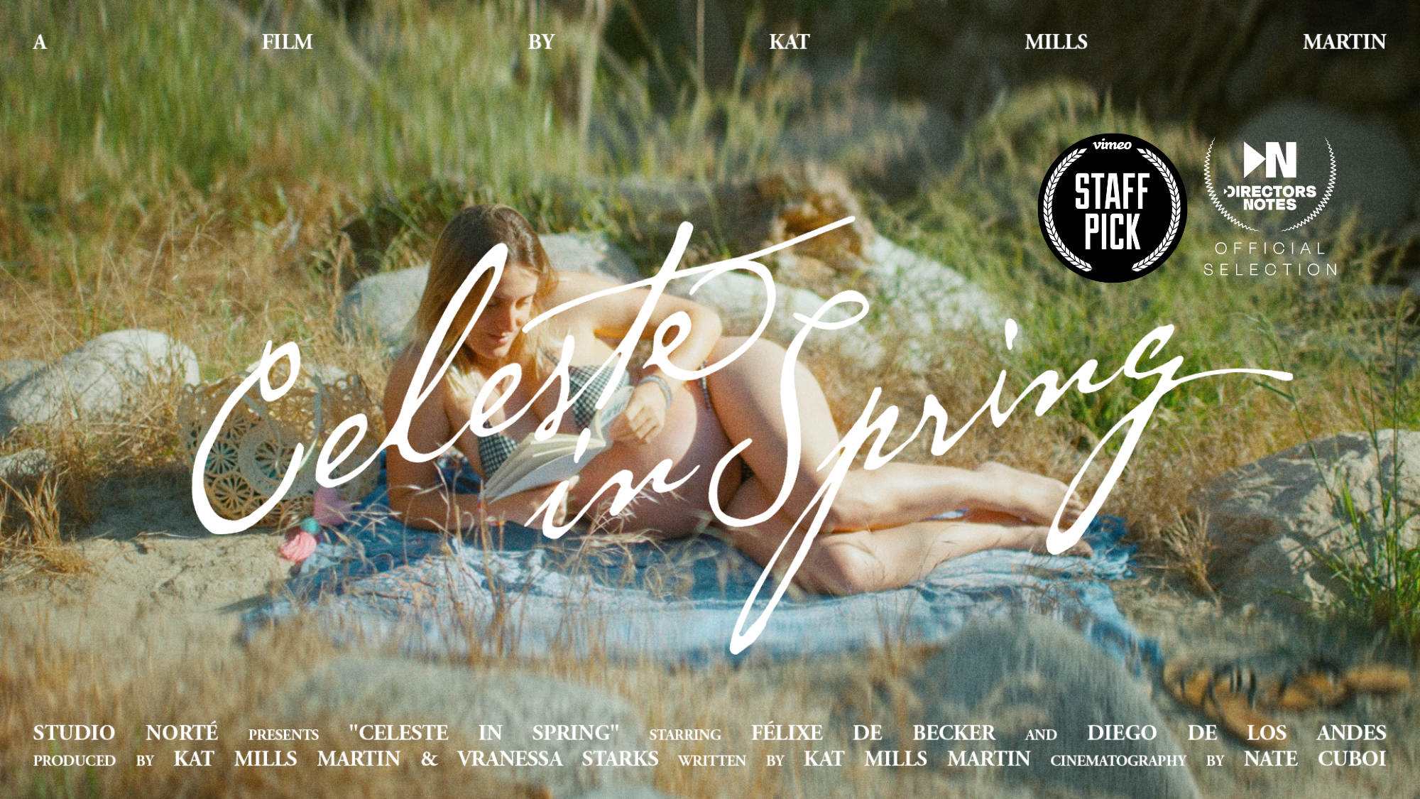 A woman is lying on a blanket in a grassy field, reading a book during springtime with rocks and tall grass surrounding her.