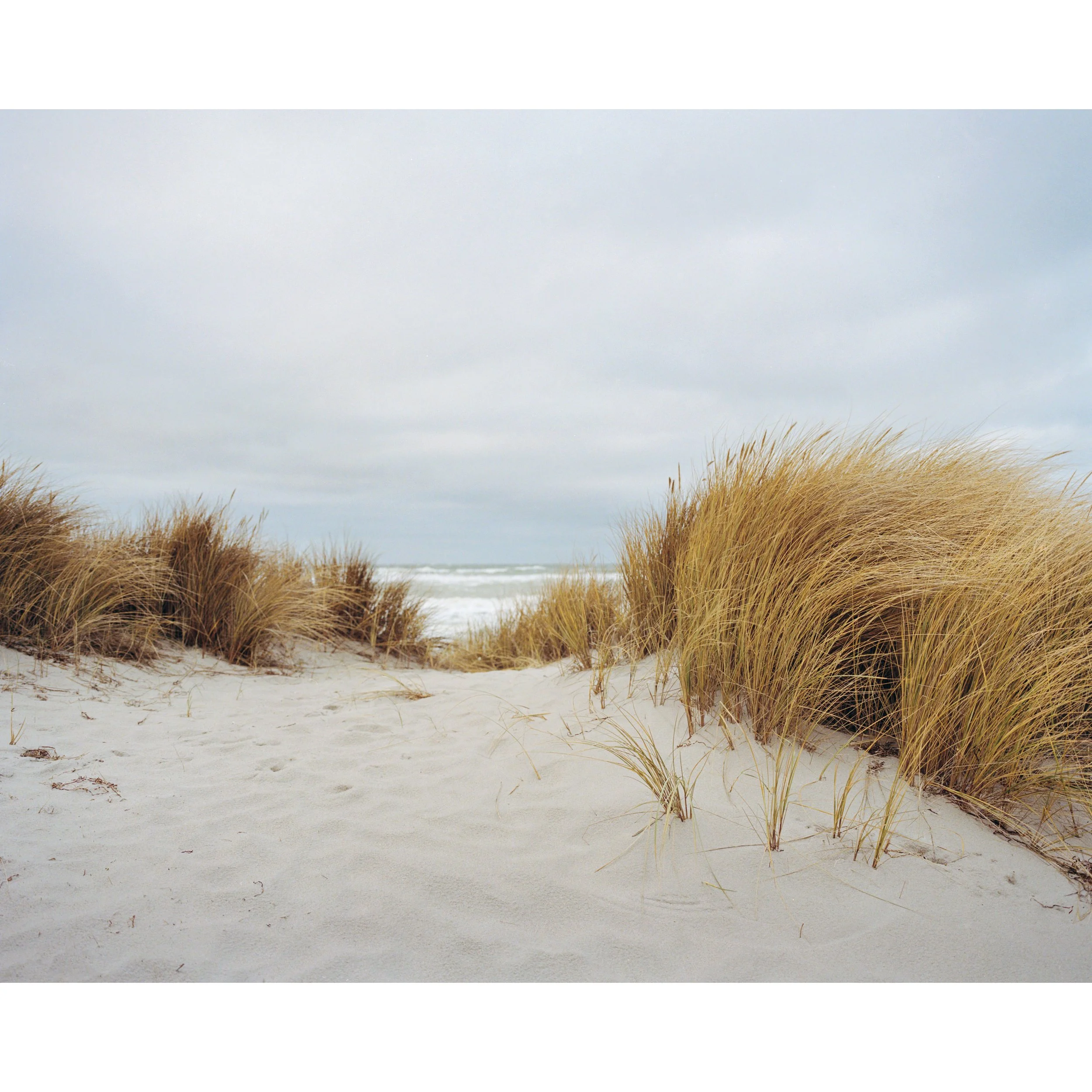Ahrenshoop