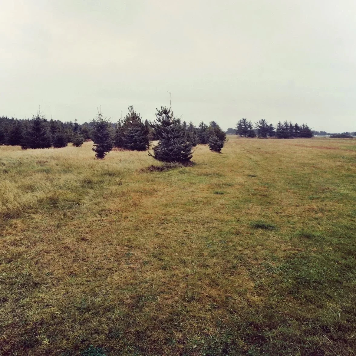 Hjørtevangen (DK)