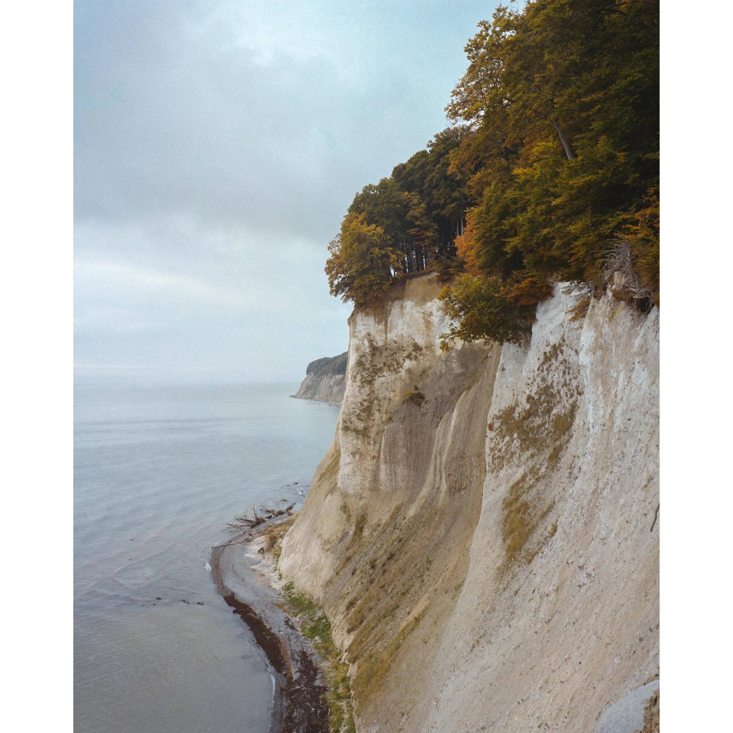 Rügen - Kreidefelsen