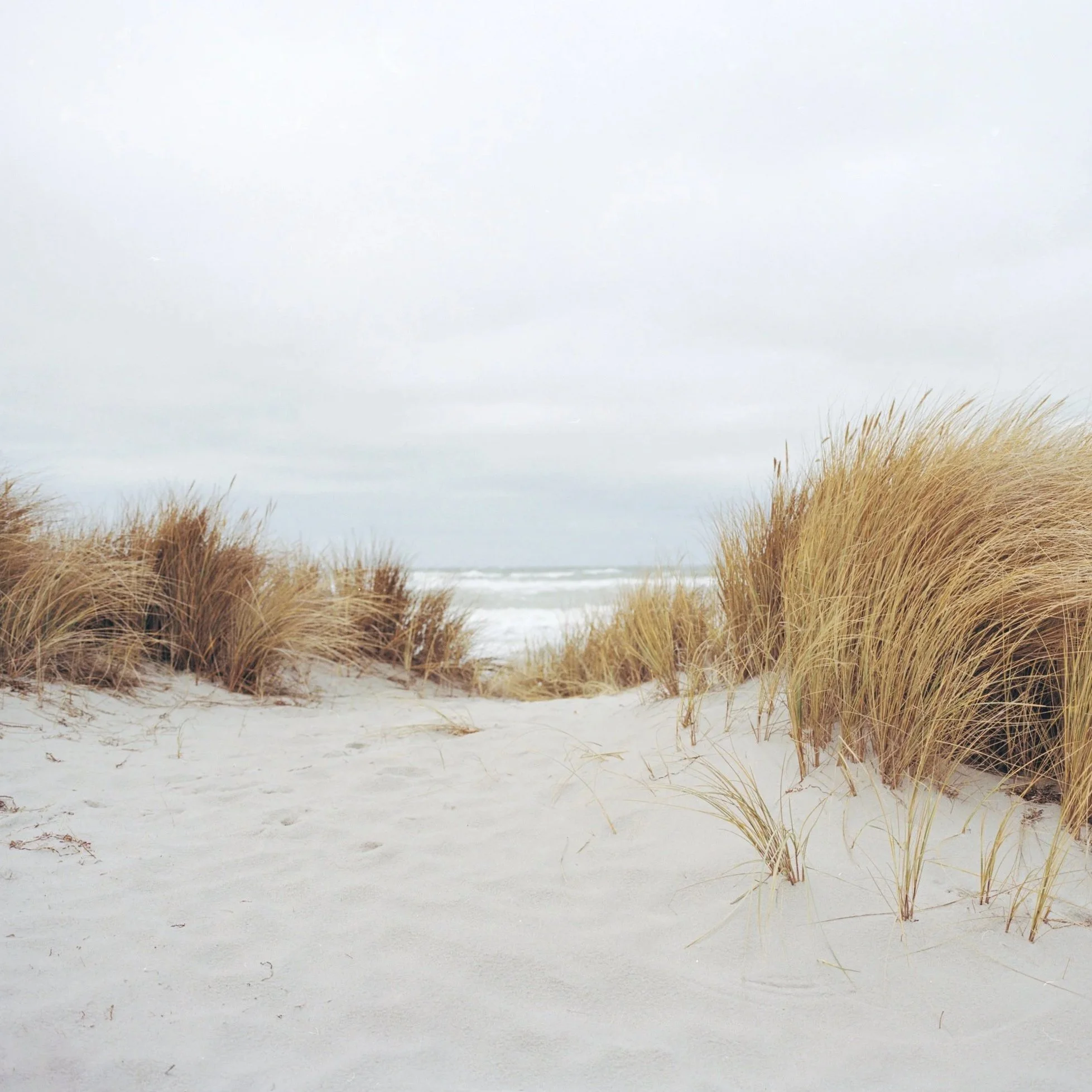 Ahrenshoop (GER)