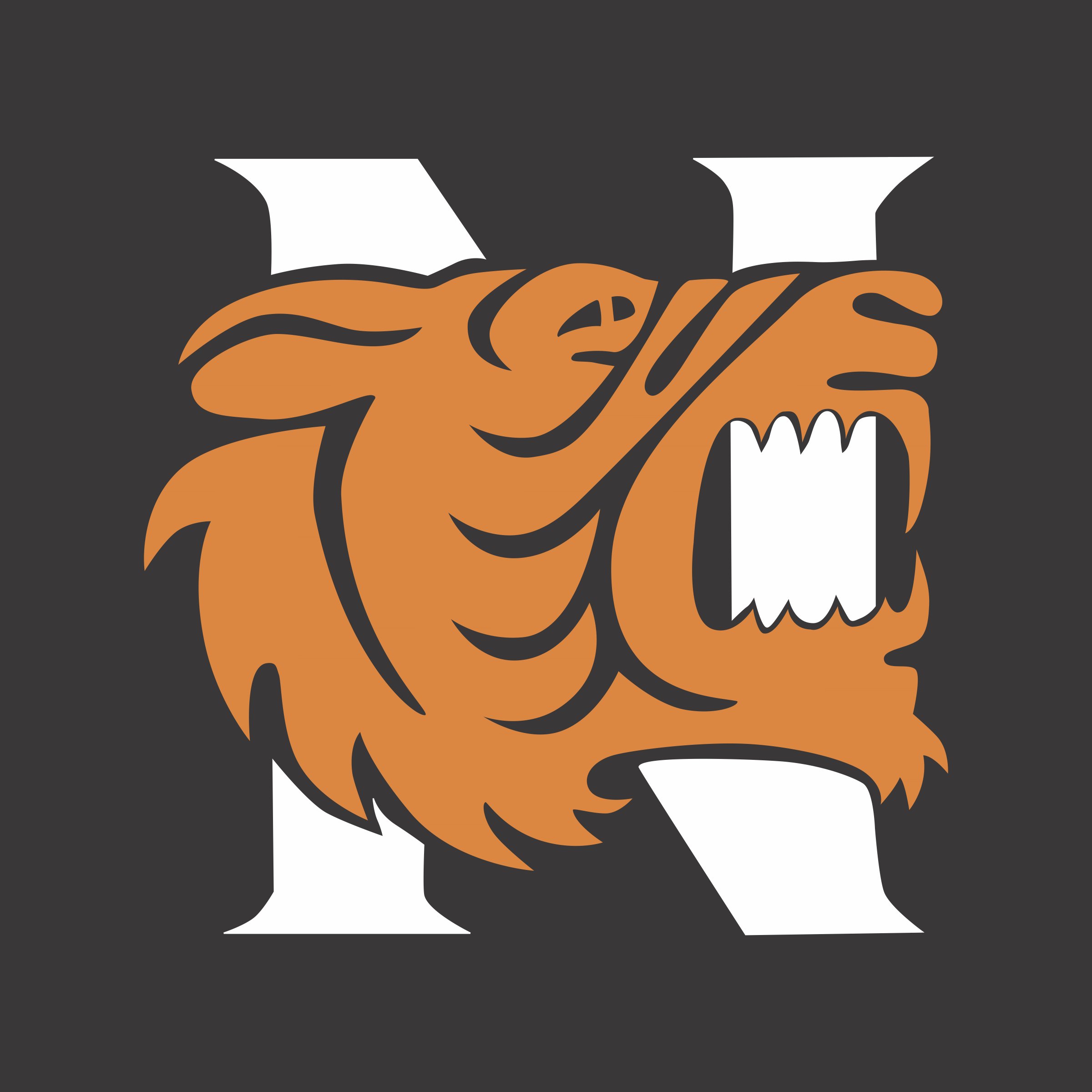 Norman+HS+Tigers.jpeg