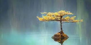 On serenity versus contentment