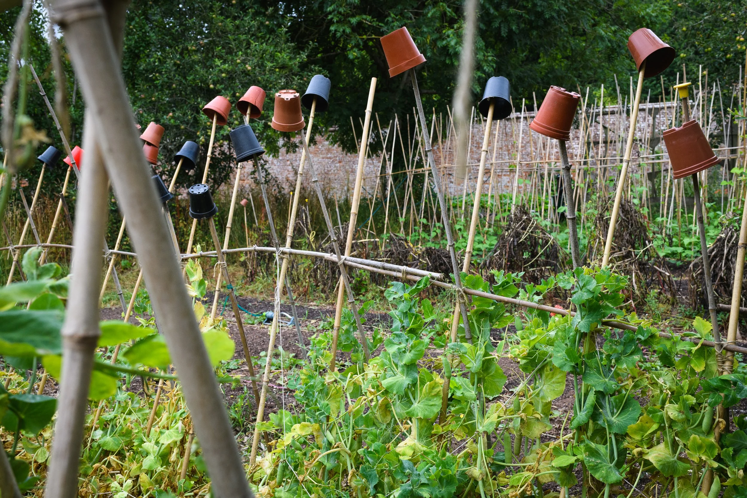 Jeanette and the walled garden-8.jpg