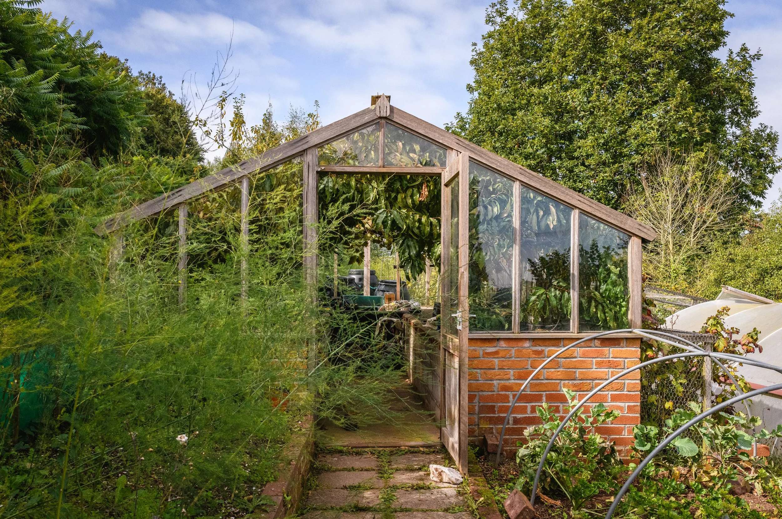 Cliff snf his garden-9.jpg