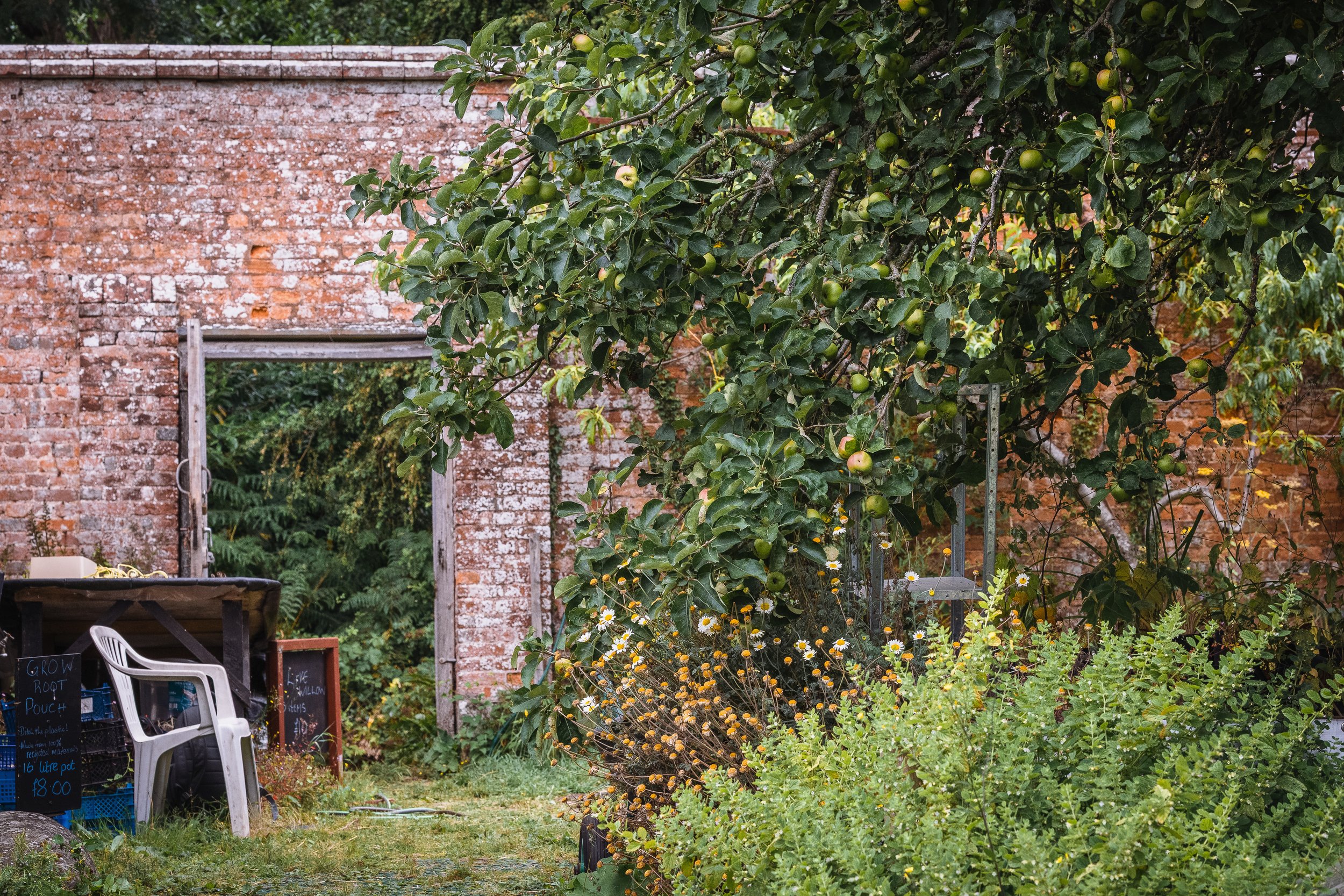 Jeanette and the walled garden-14.jpg