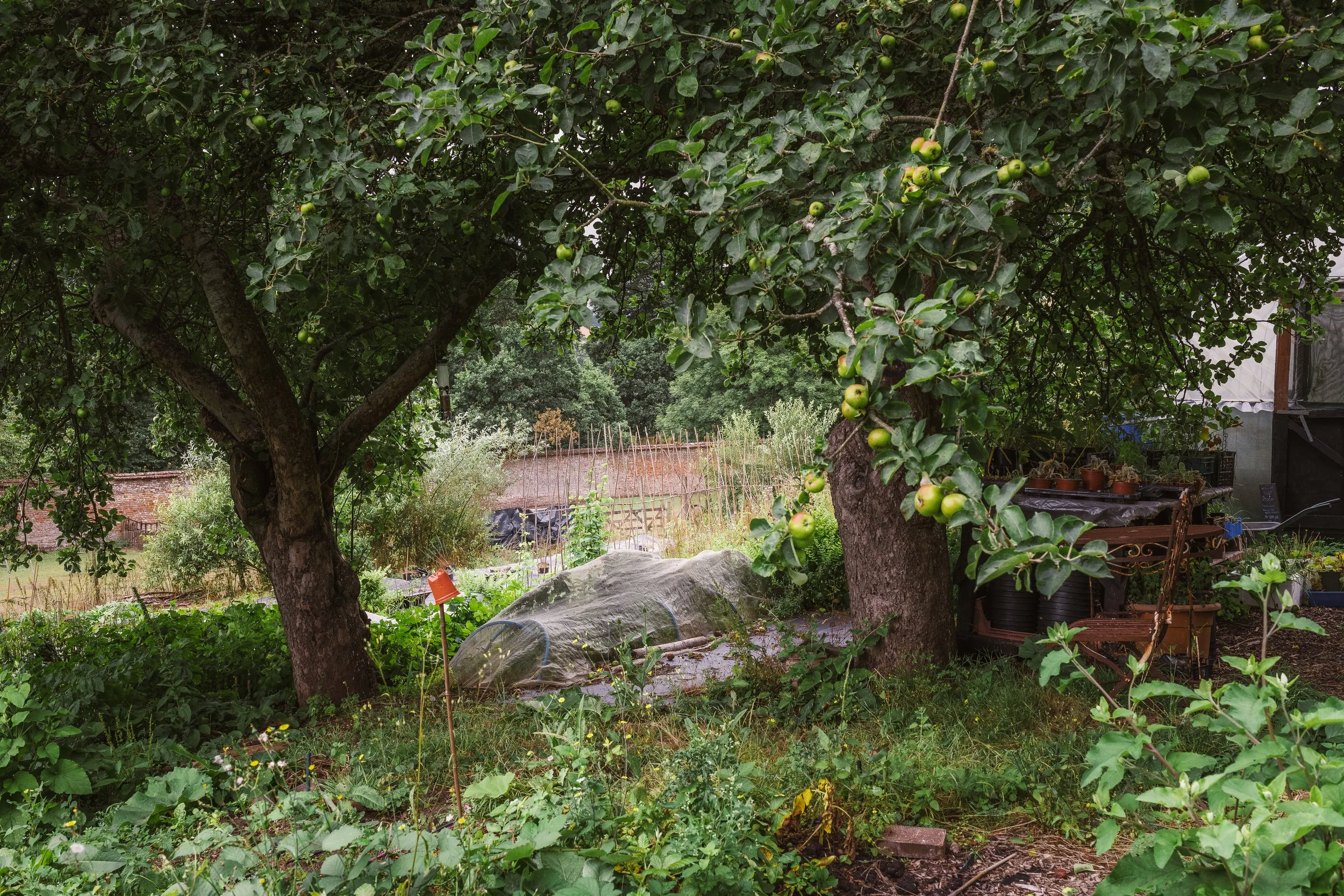 Jeanette and the walled garden-5.jpg
