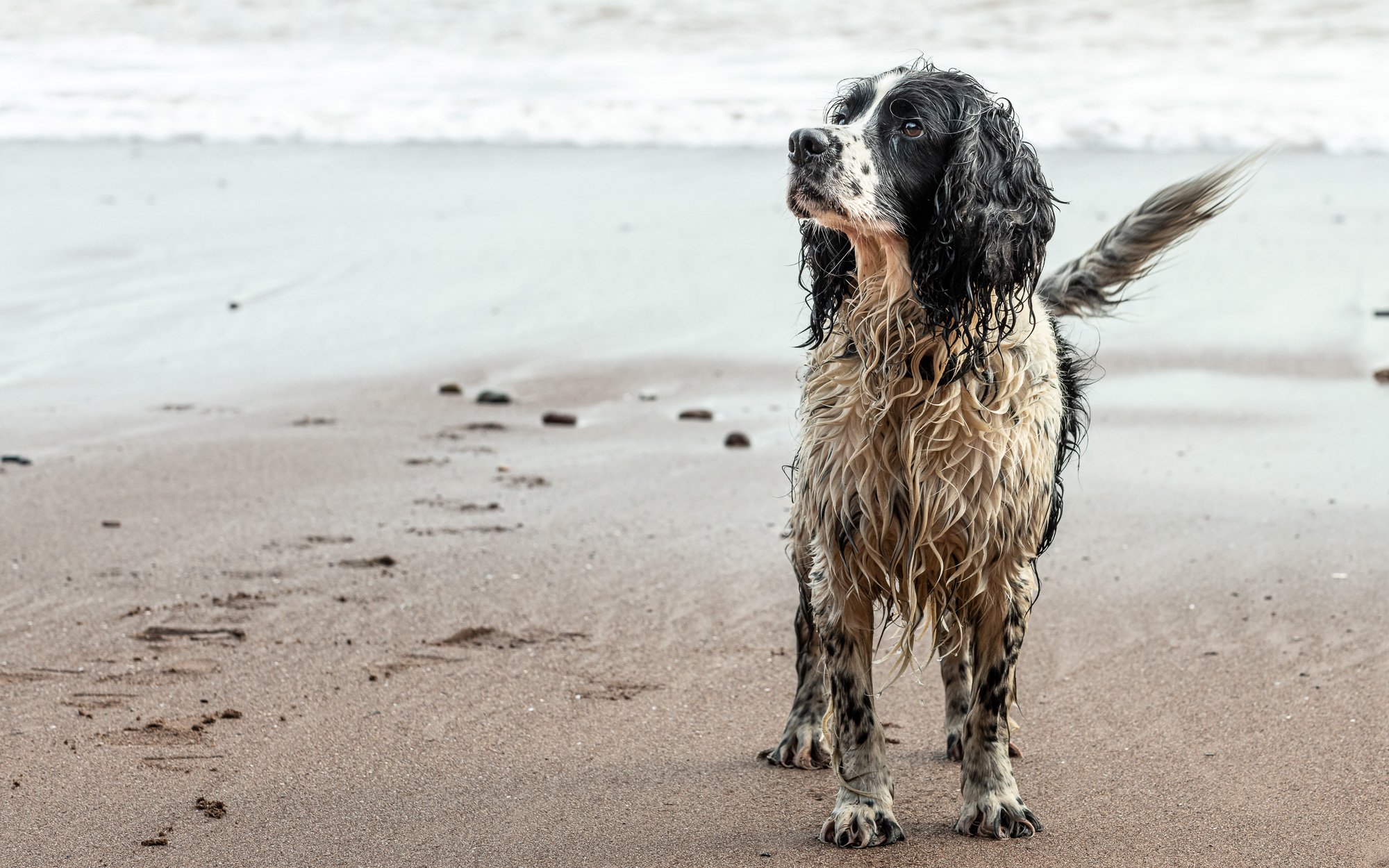 Dude in the sea for web-2.jpg