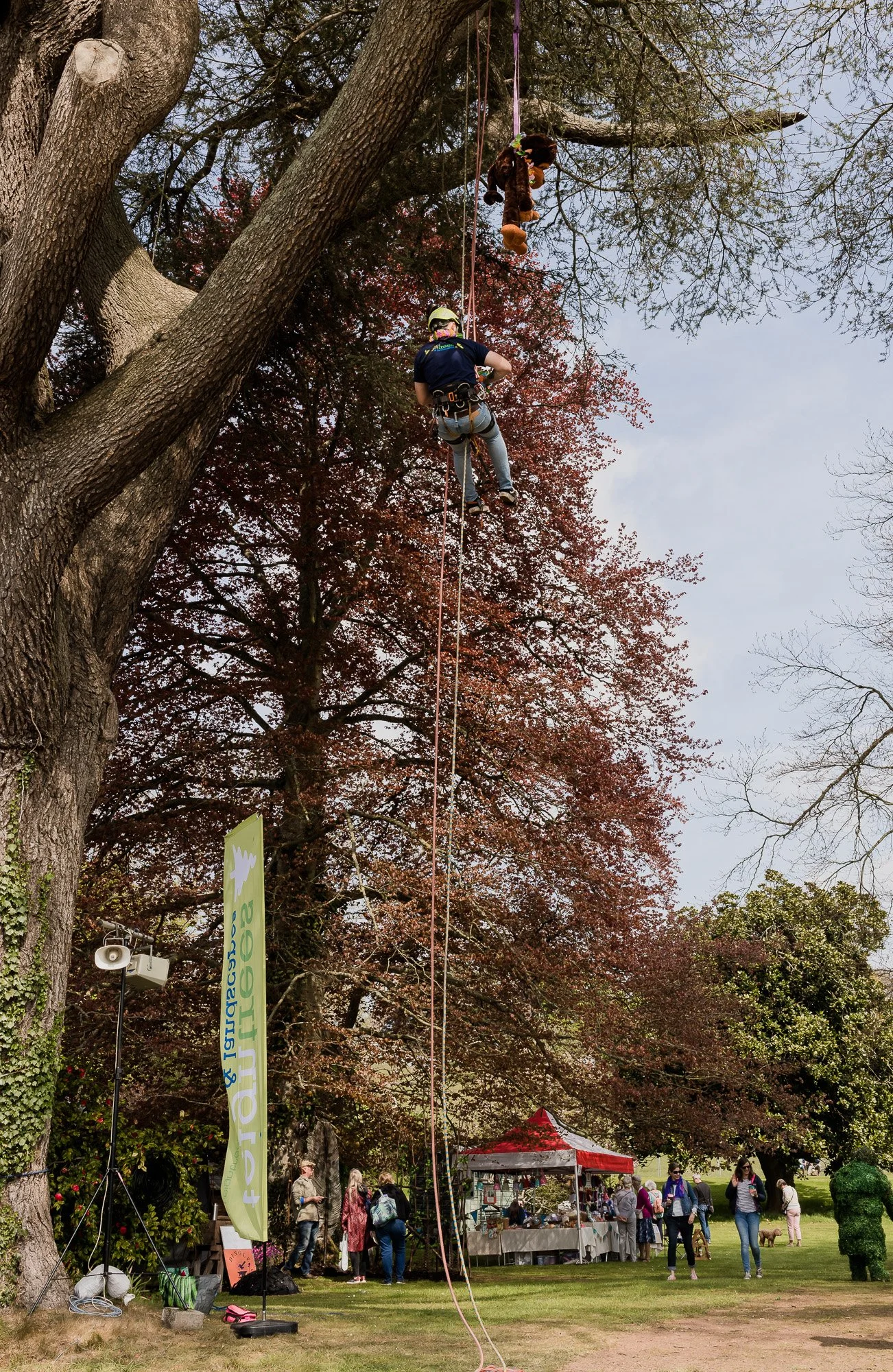 In the trees-7.jpg