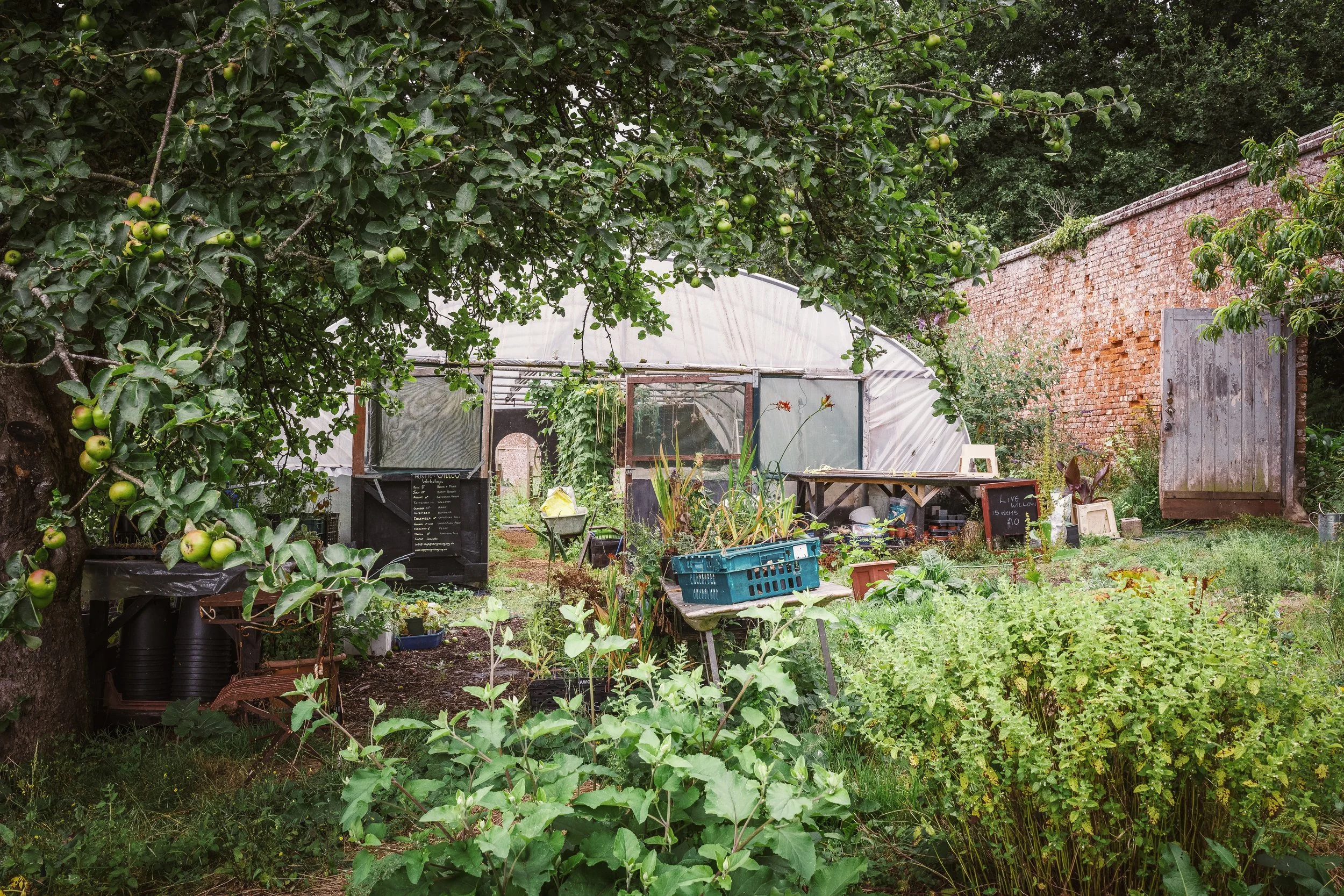 Jeanette and the walled garden-4.jpg