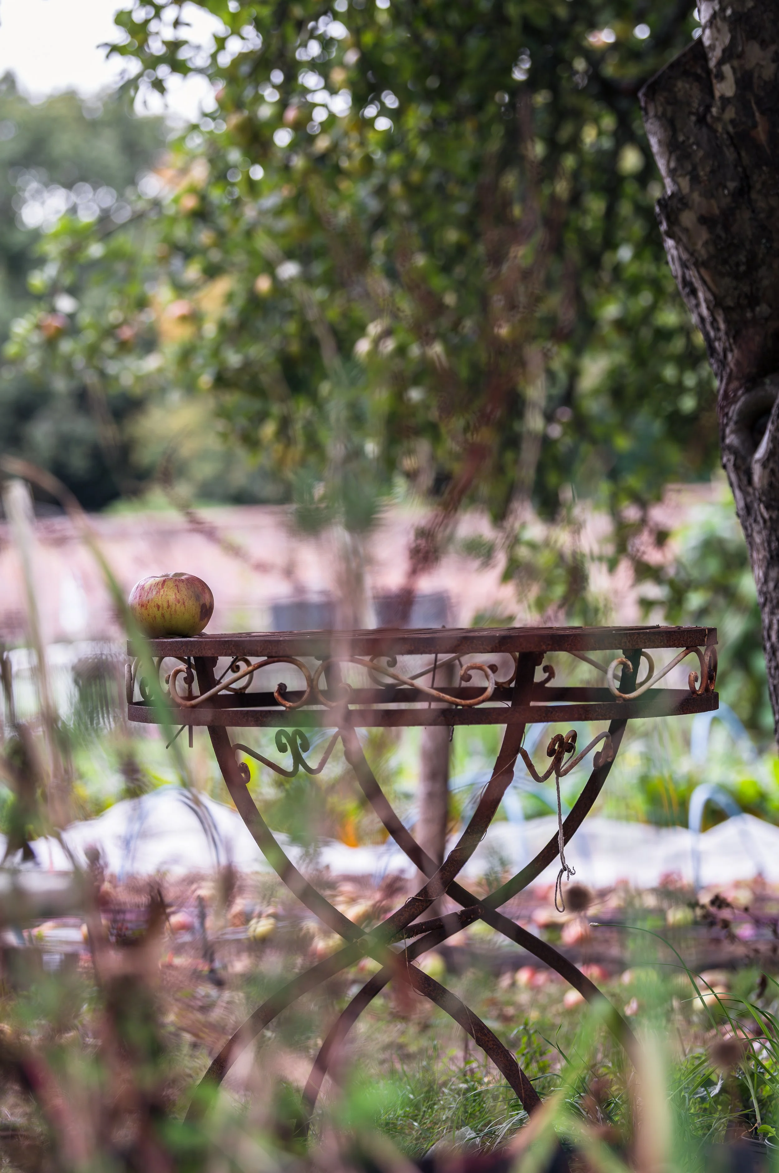 Jeanette and the walled garden-25.jpg