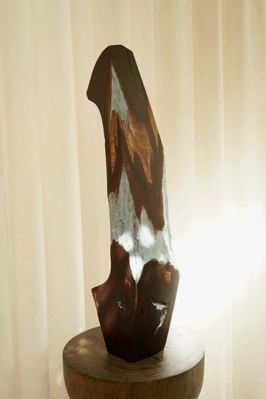 WhatsApp Image 2026-01-30 at 6.34.05 PM (2).jpeg