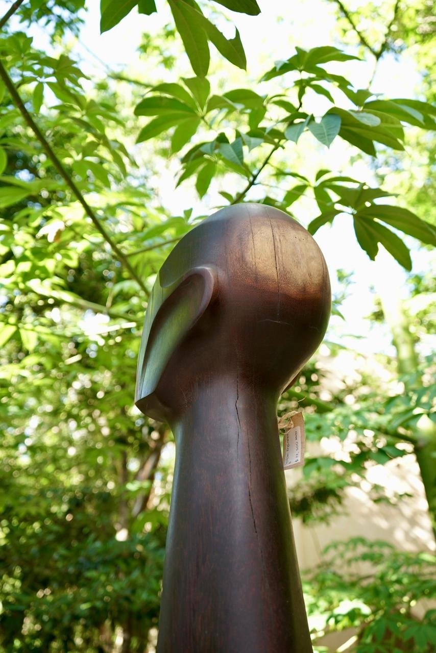 WhatsApp Image 2026-01-30 at 6.34.05 PM.jpeg