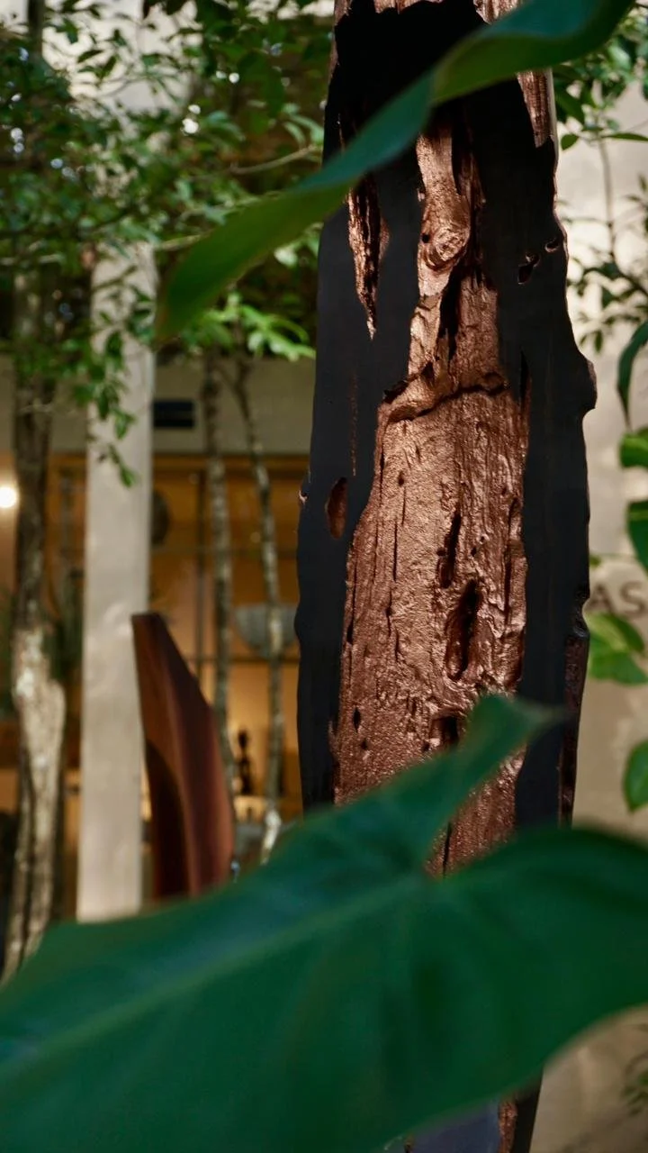 WhatsApp Image 2026-01-30 at 6.34.04 PM (3).jpeg