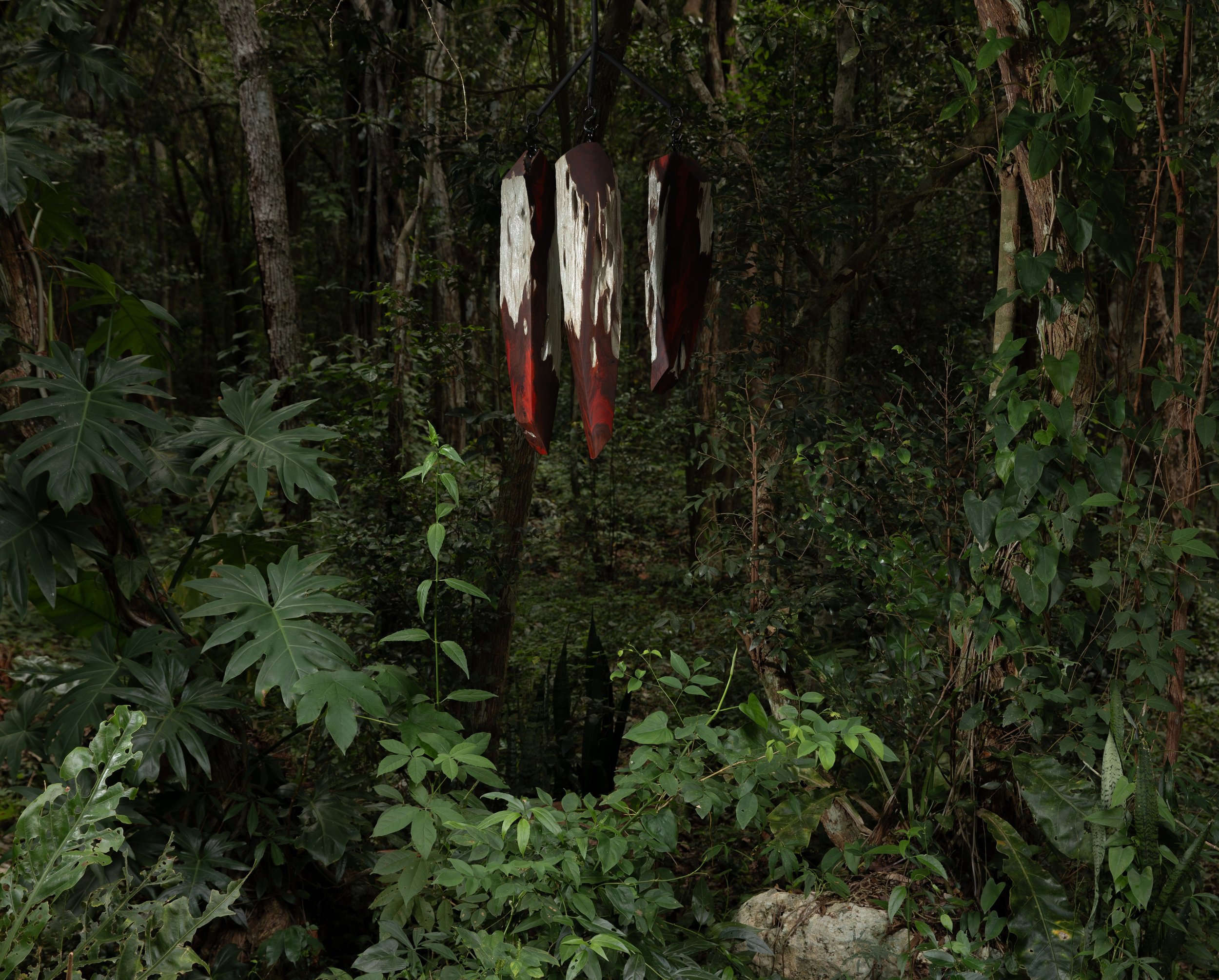 MATT_JUNGLE_31 copy.jpg