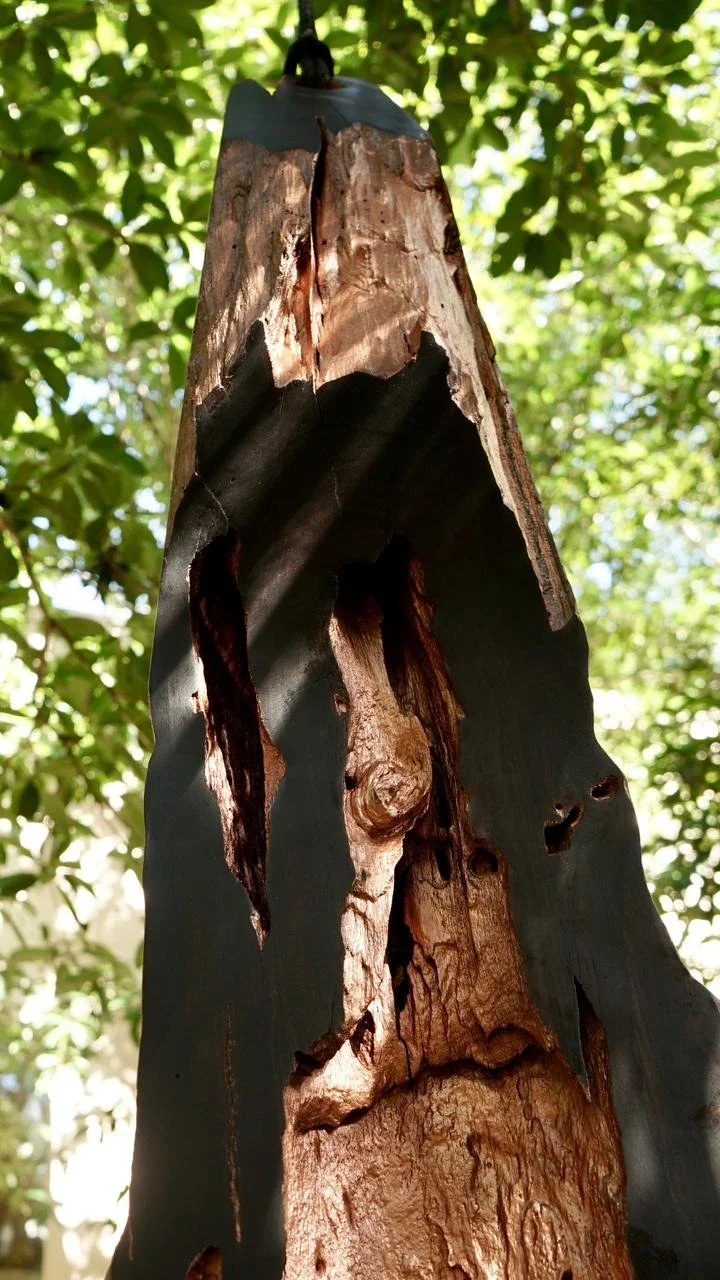 WhatsApp Image 2026-01-30 at 6.34.04 PM (1).jpeg