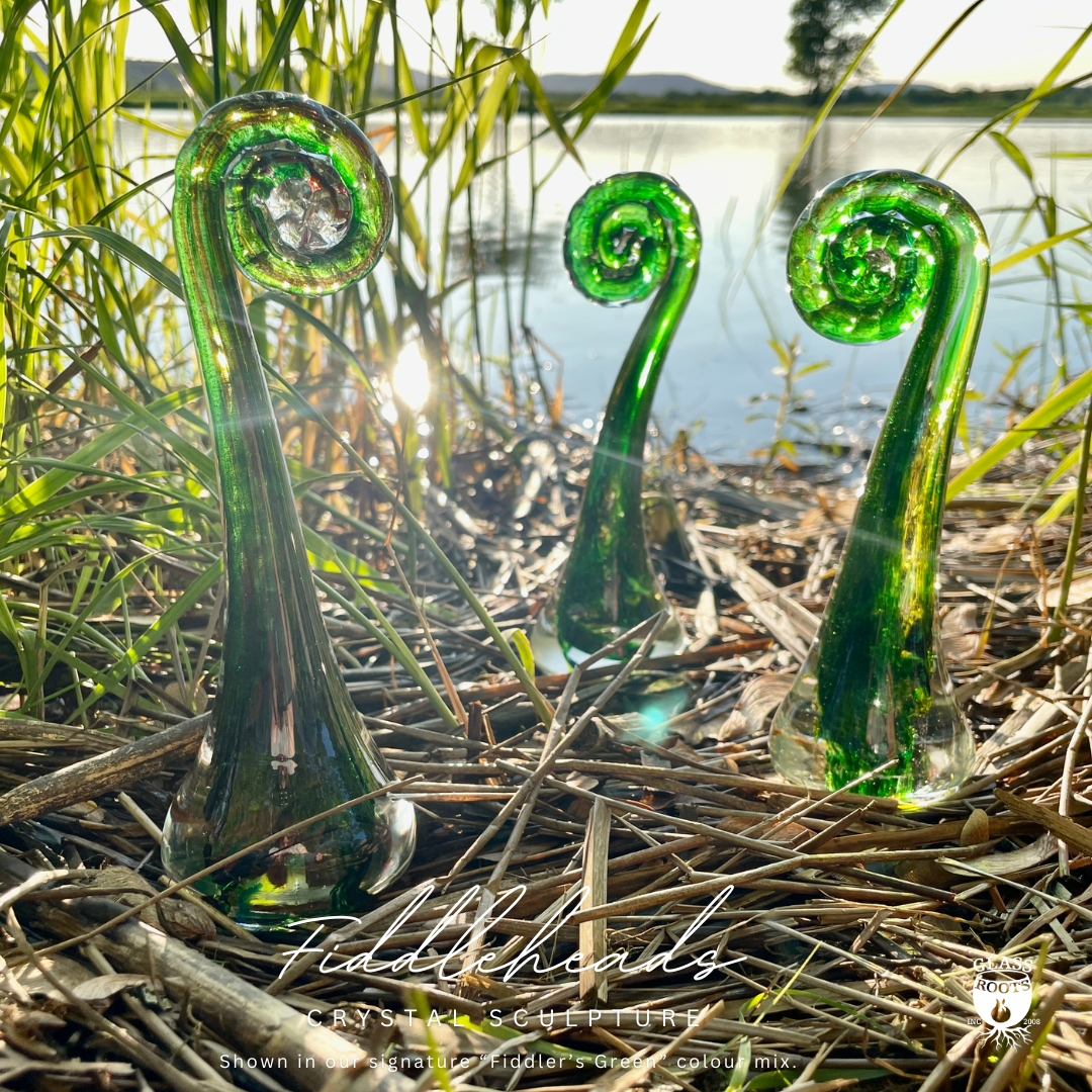 Fiddleheads_outdoors01.png