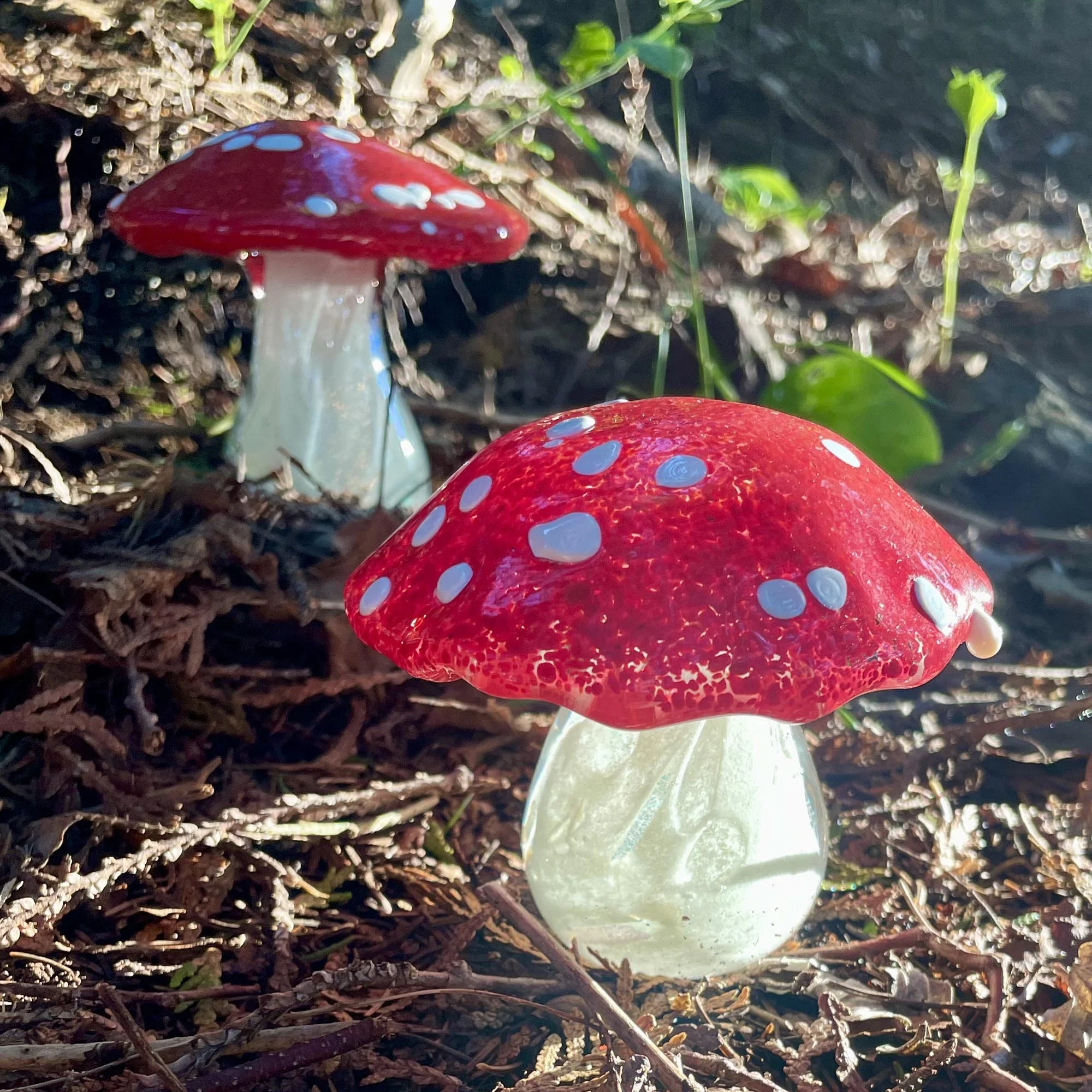 GlassMushroom_0622.jpg