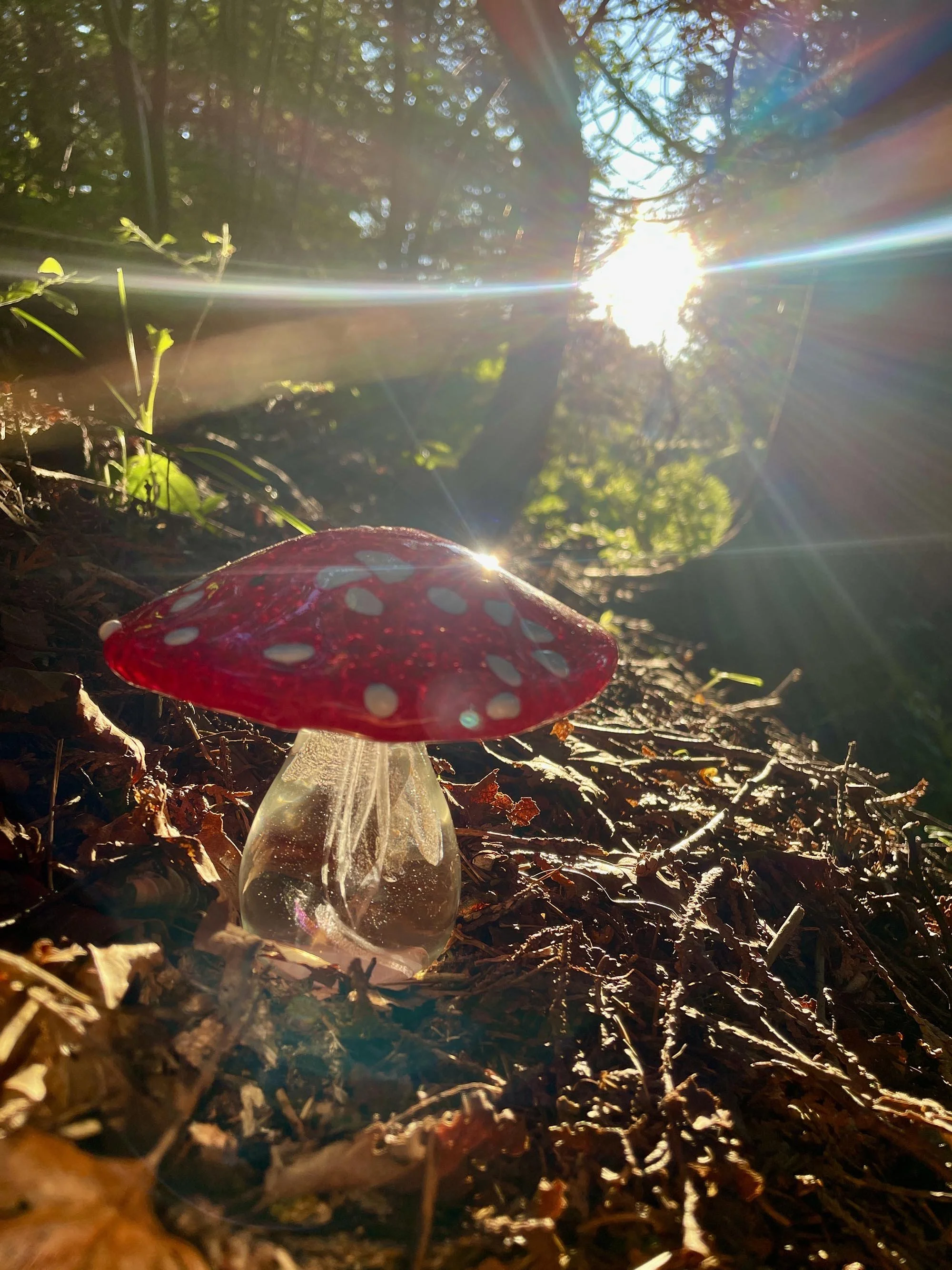 GlassMushroom_0583.jpg