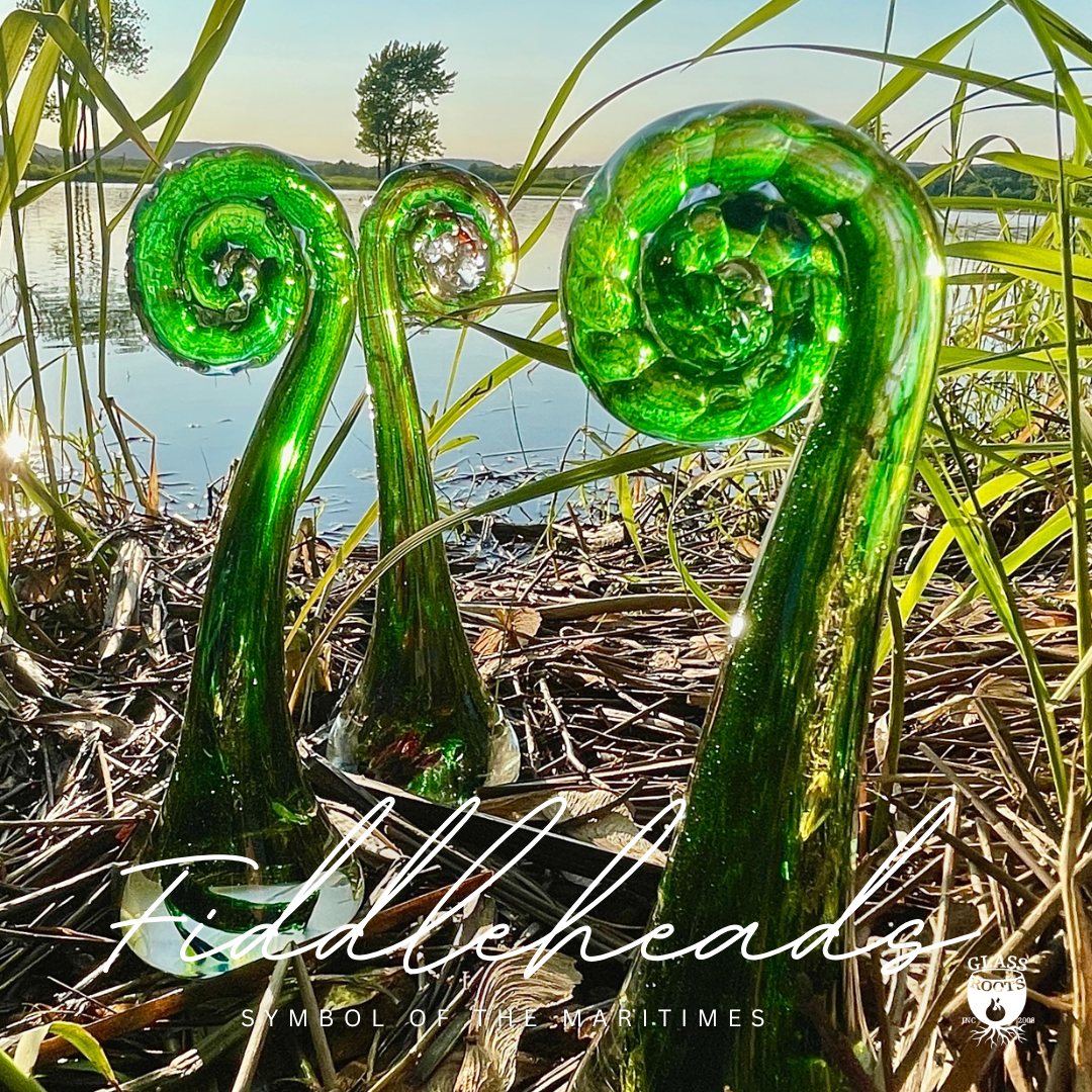 Fiddleheads title.png