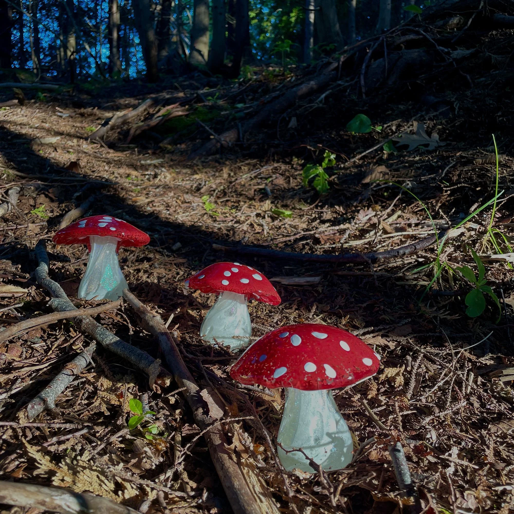 GlassMushroom_0579.jpg