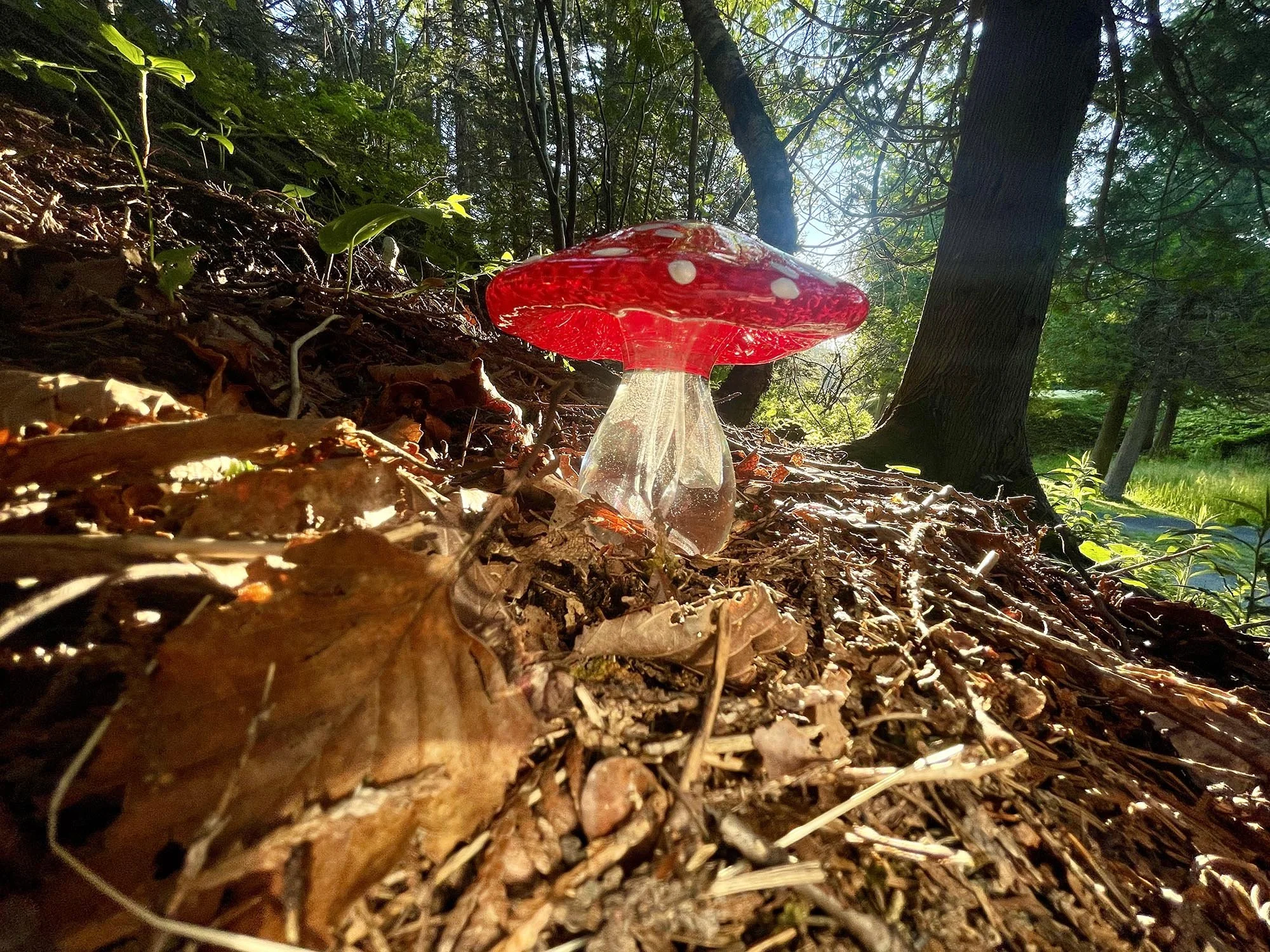 GlassMushroom_0591.jpg